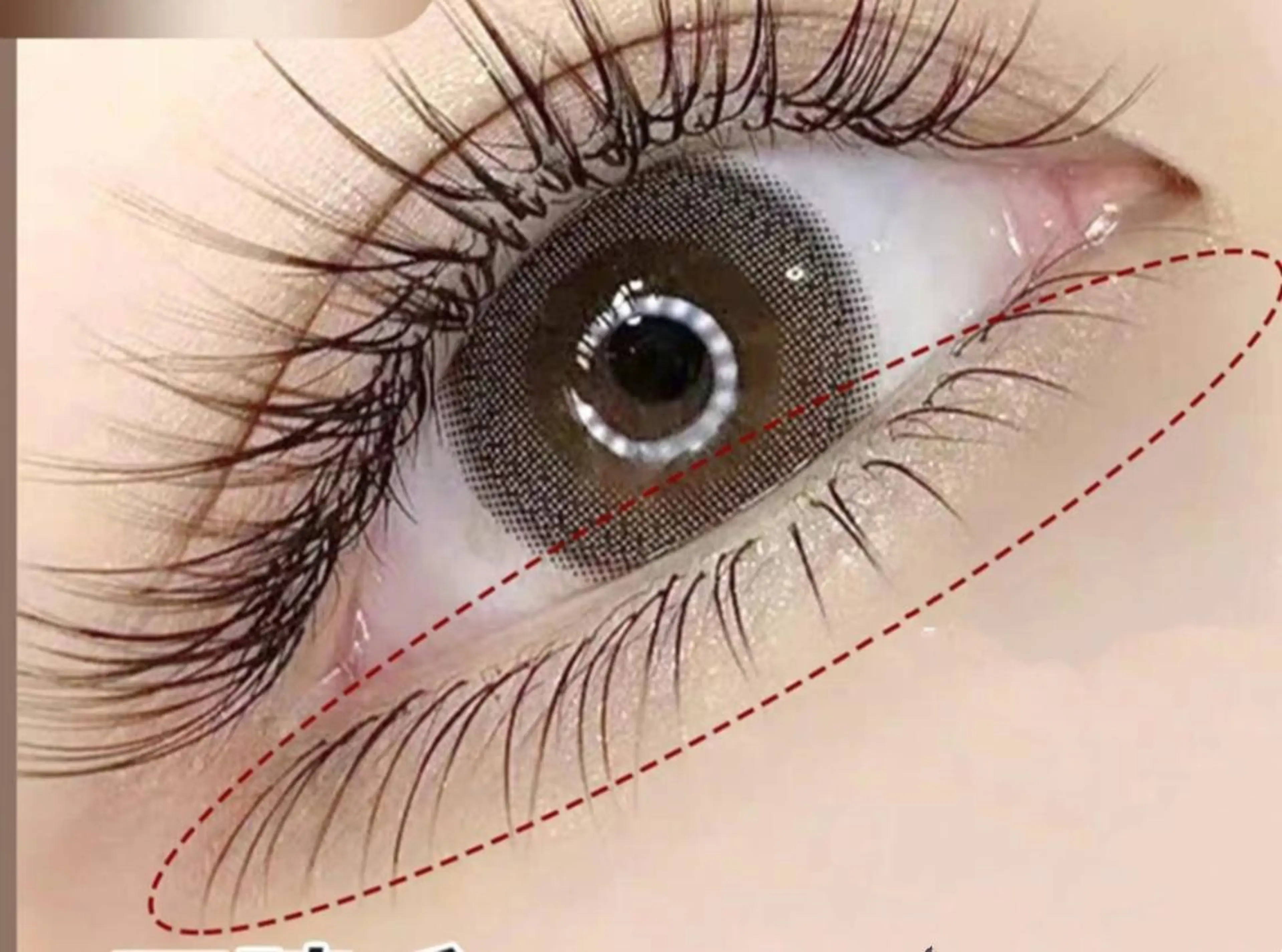 マツエク・マツパ eyelash OMI北千住のマツエク・マツパデザイン