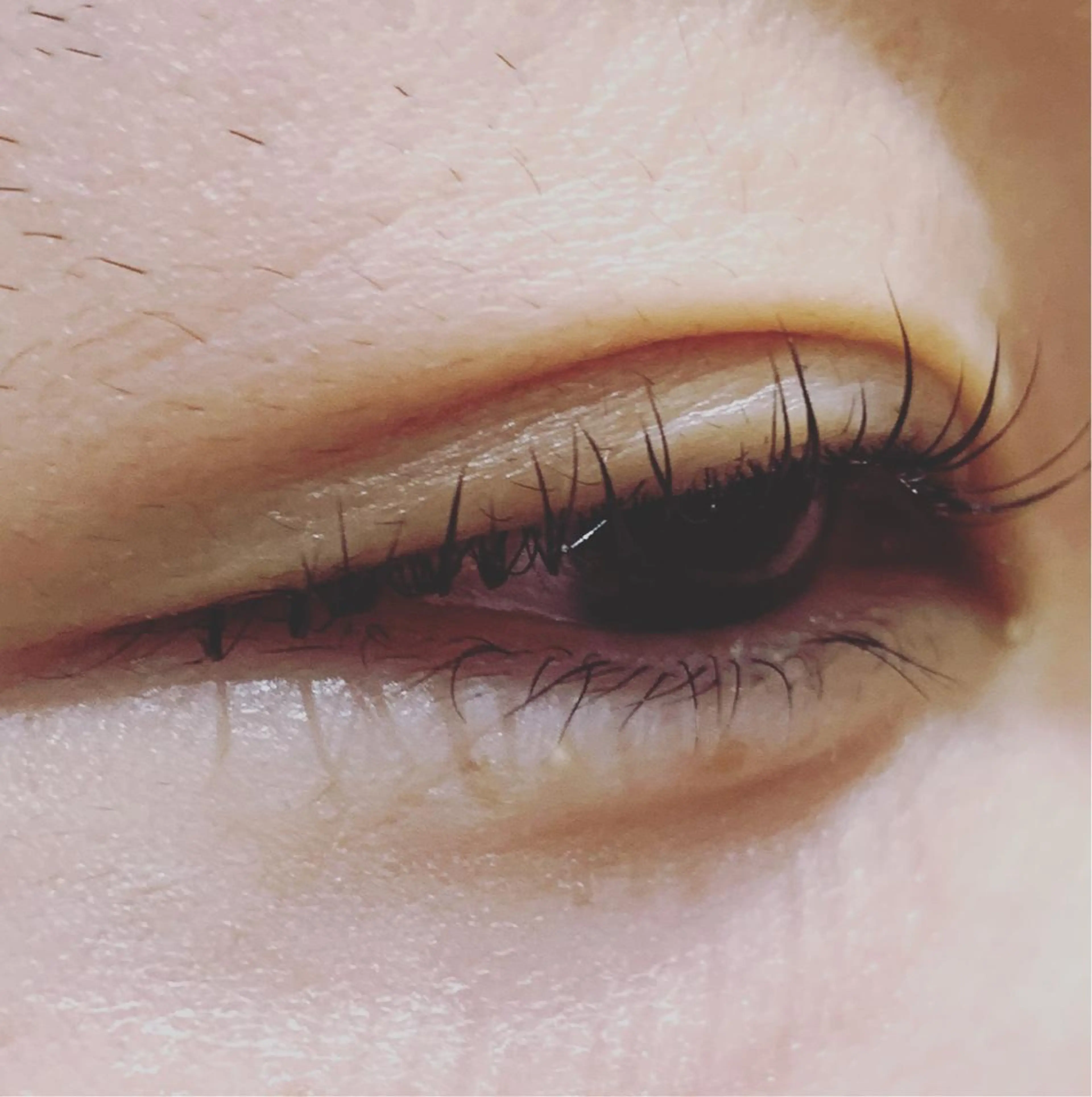 マツエク・マツパ パリジェンヌラッシュリフト Ｄｏｌｌｙ　　Ｌａｓｈイオン大野城店所属・大田 沙夜佳のマツエク・マツパデザイン