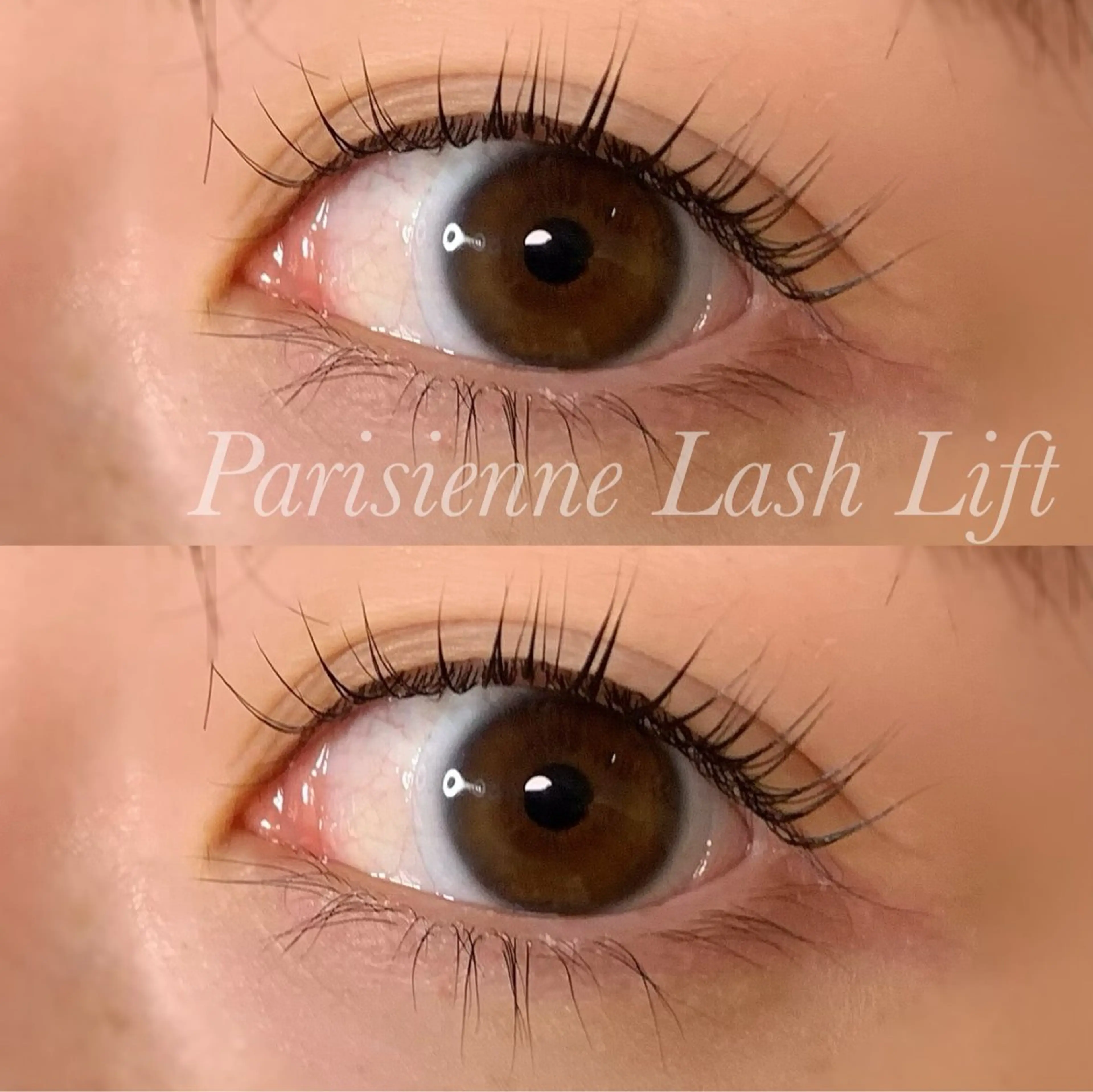 マツエク・マツパ パリジェンヌラッシュリフト マツパ Ayumi.pro 🍆N《4階》のマツエク・マツパデザイン