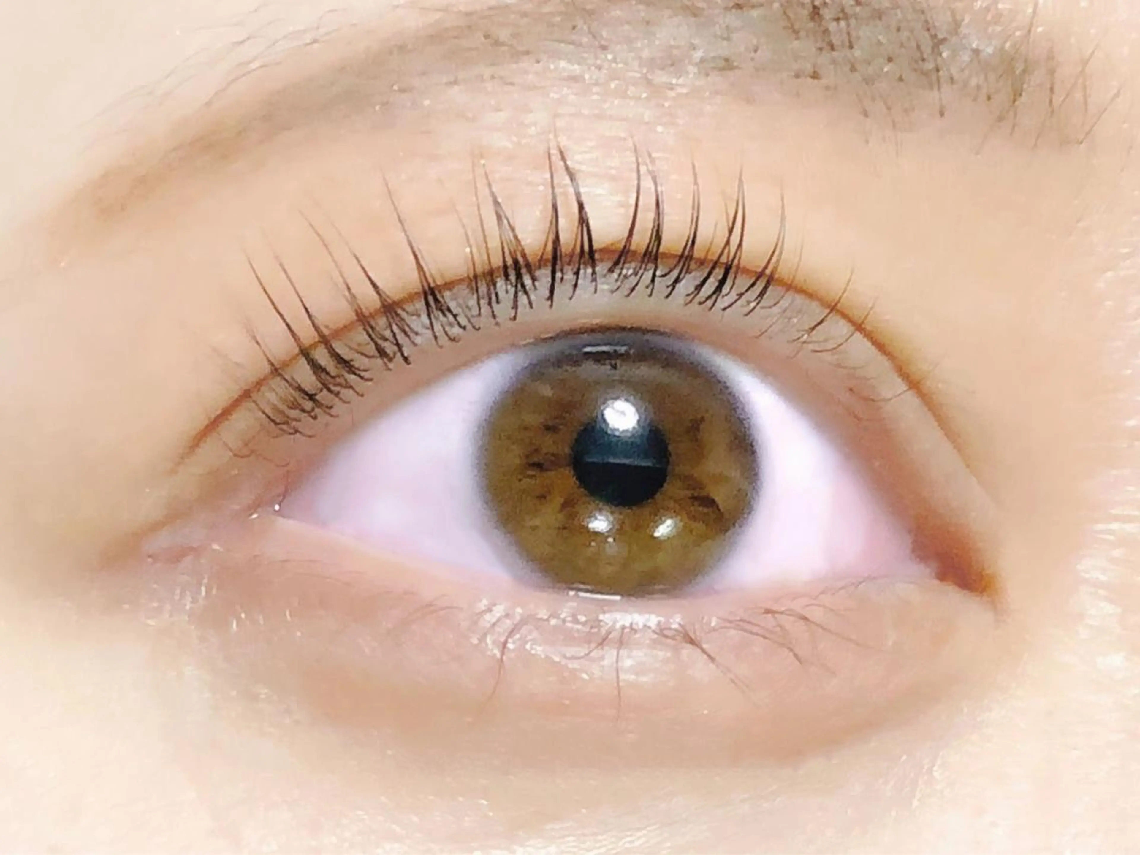 マツエク・マツパ 一重×まつ毛パーマ マツパ RAZZLE DAZZLEのマツエク・マツパデザイン