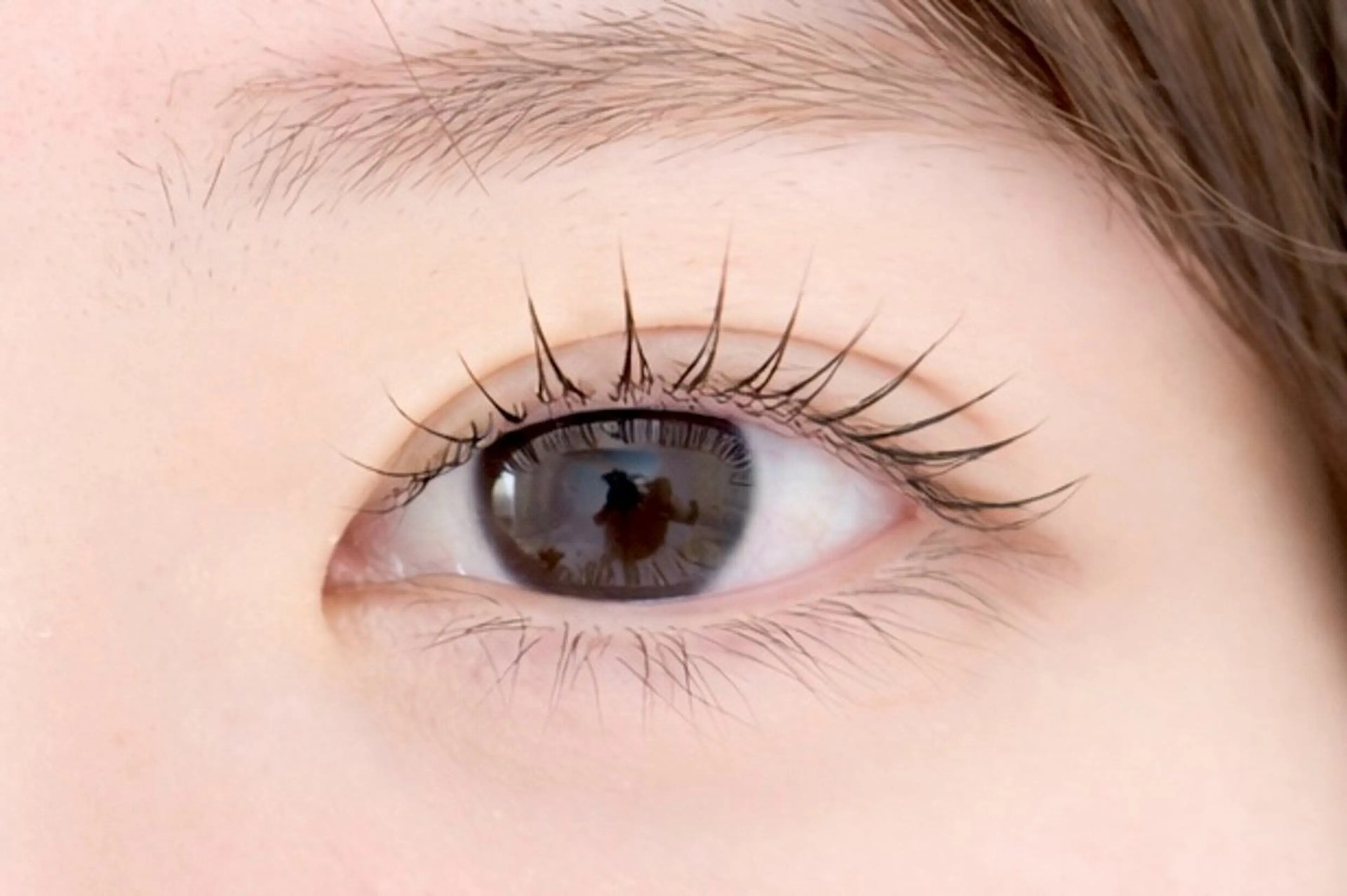 🌷《リピーター様限定》ラッシュリフト/まつ毛パーマ✨の写真