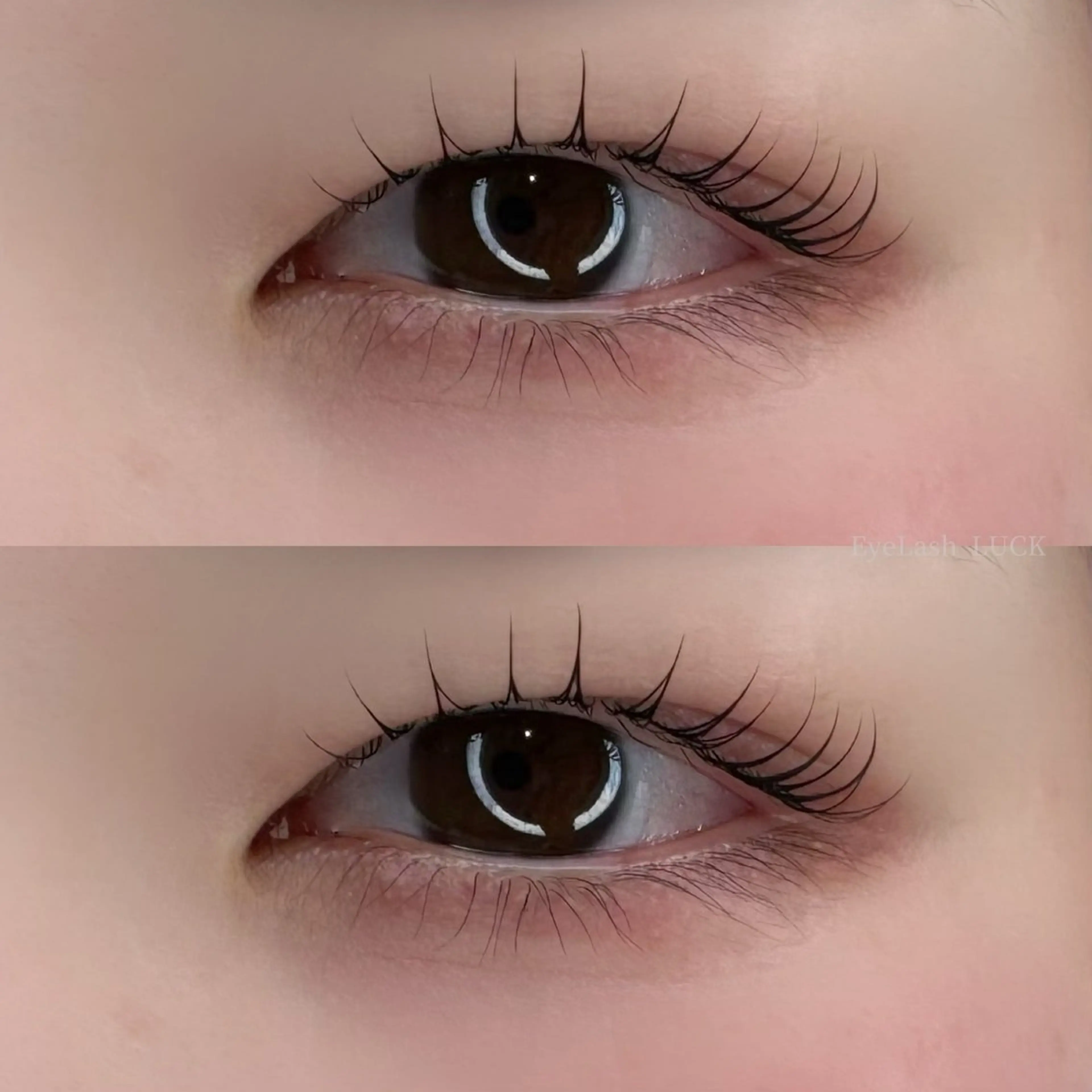 マツエク・マツパ マツパ Eyelash LUCK本厚木のマツエク・マツパデザイン