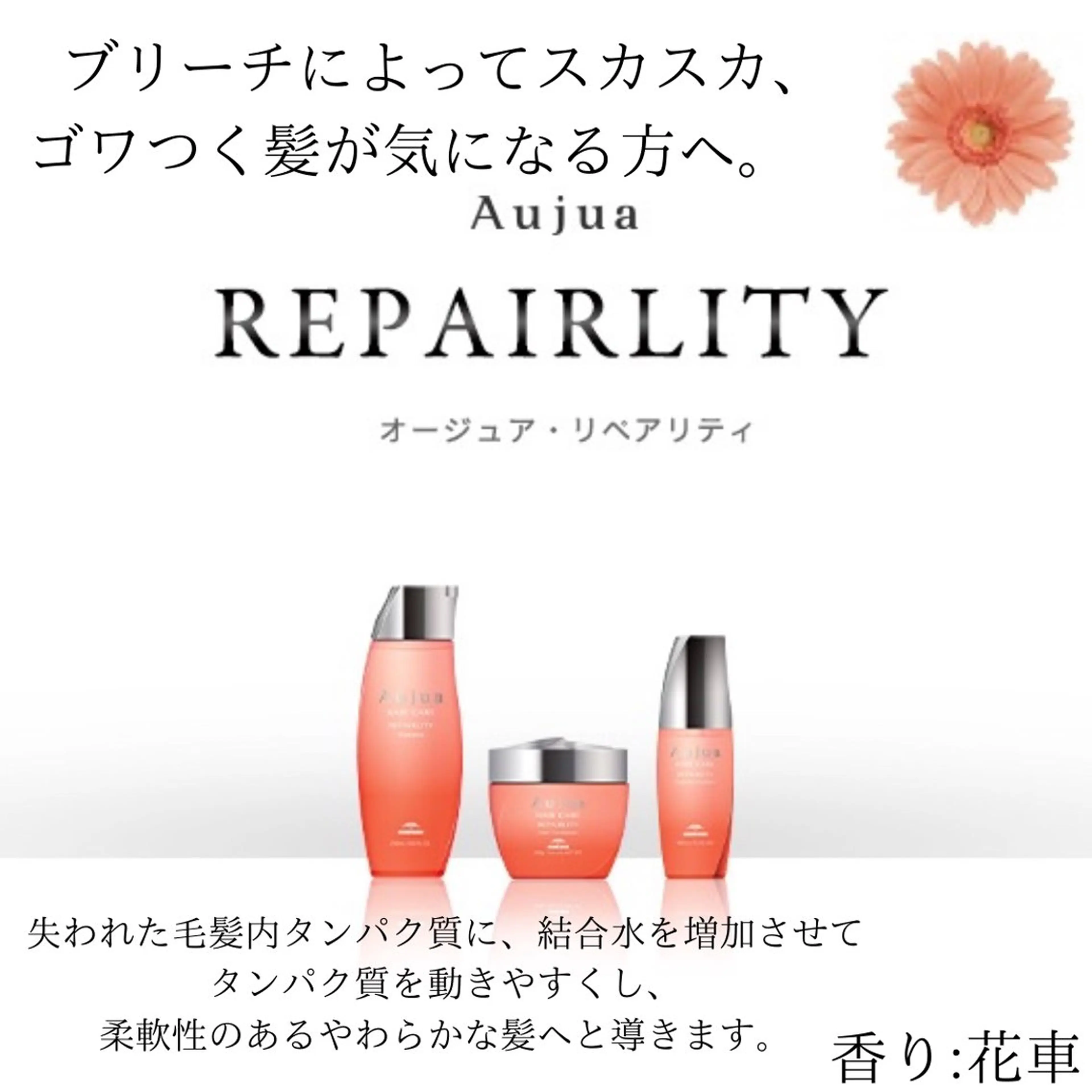 【大人ショート/ボブ モデル募集】　Seiのヘアスタイル