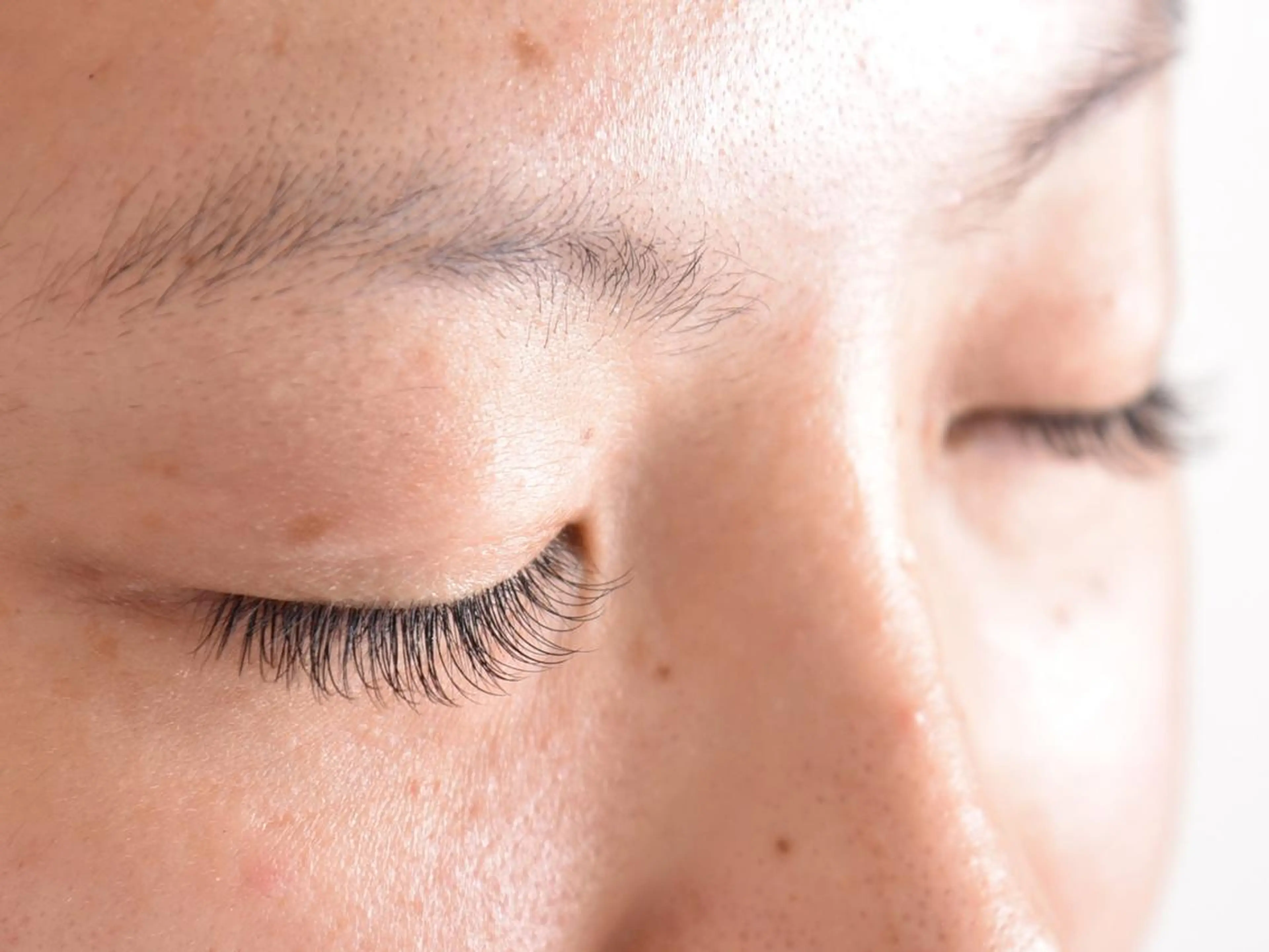 【初回ミニモ限定】 🌸《新》クローバフラットラッシュ！【フラットラッシュ】　120本 5980円の写真