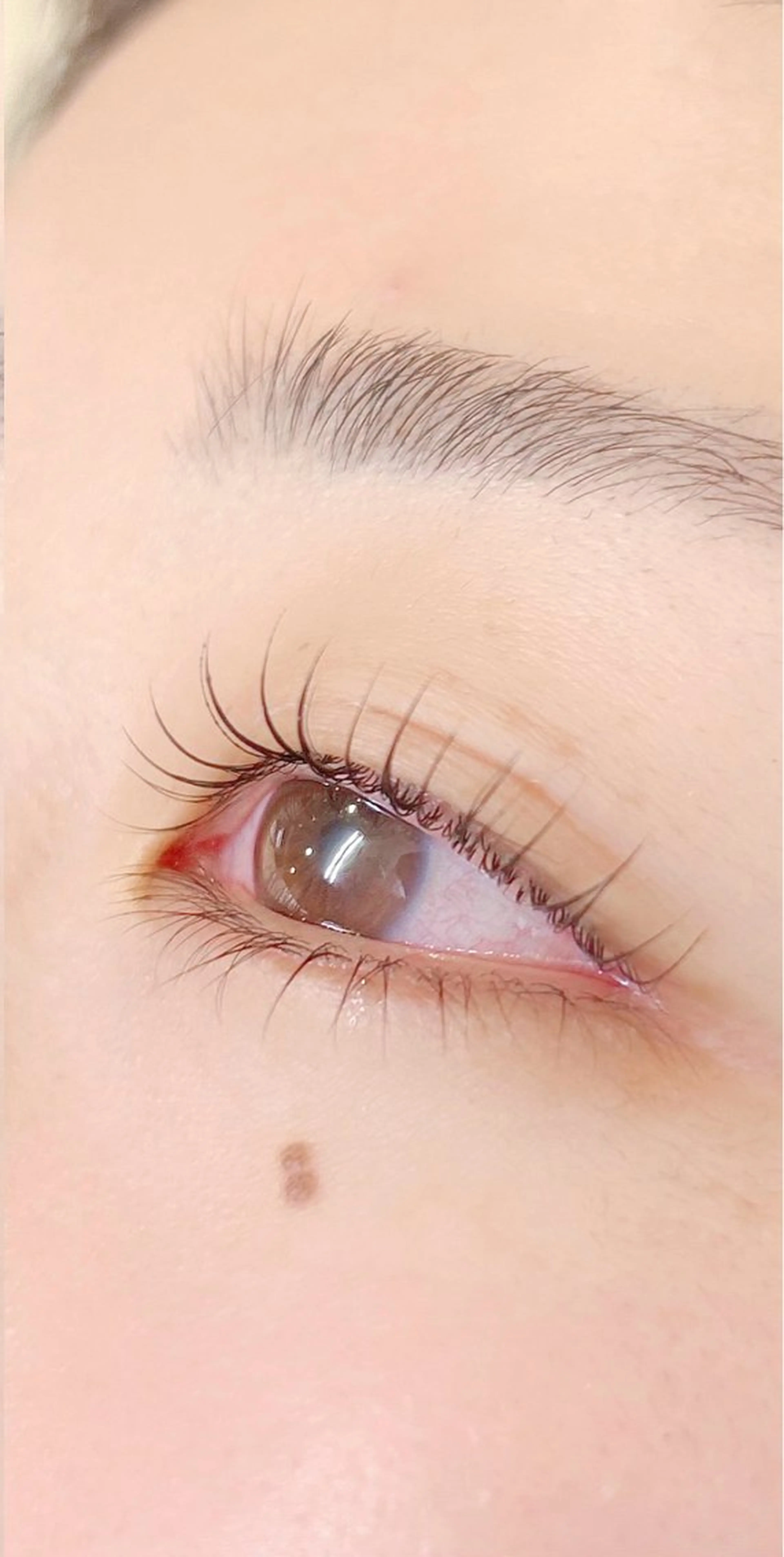 💜【オーダーメイドラッシュリフト】💜(コーティング&トリートメント付き)の写真