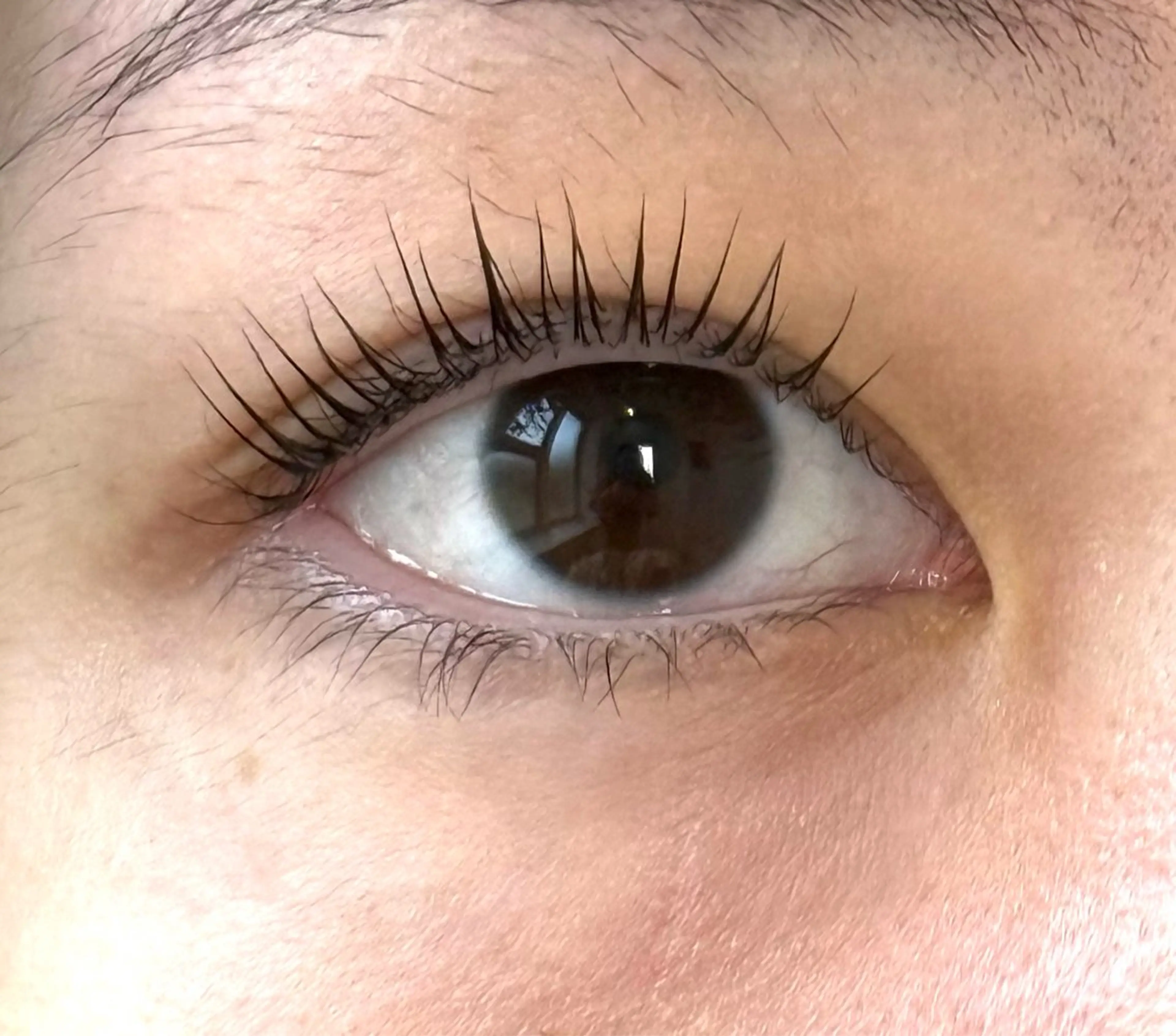 マツエク・マツパ y ୨୧のマツエク・マツパデザイン