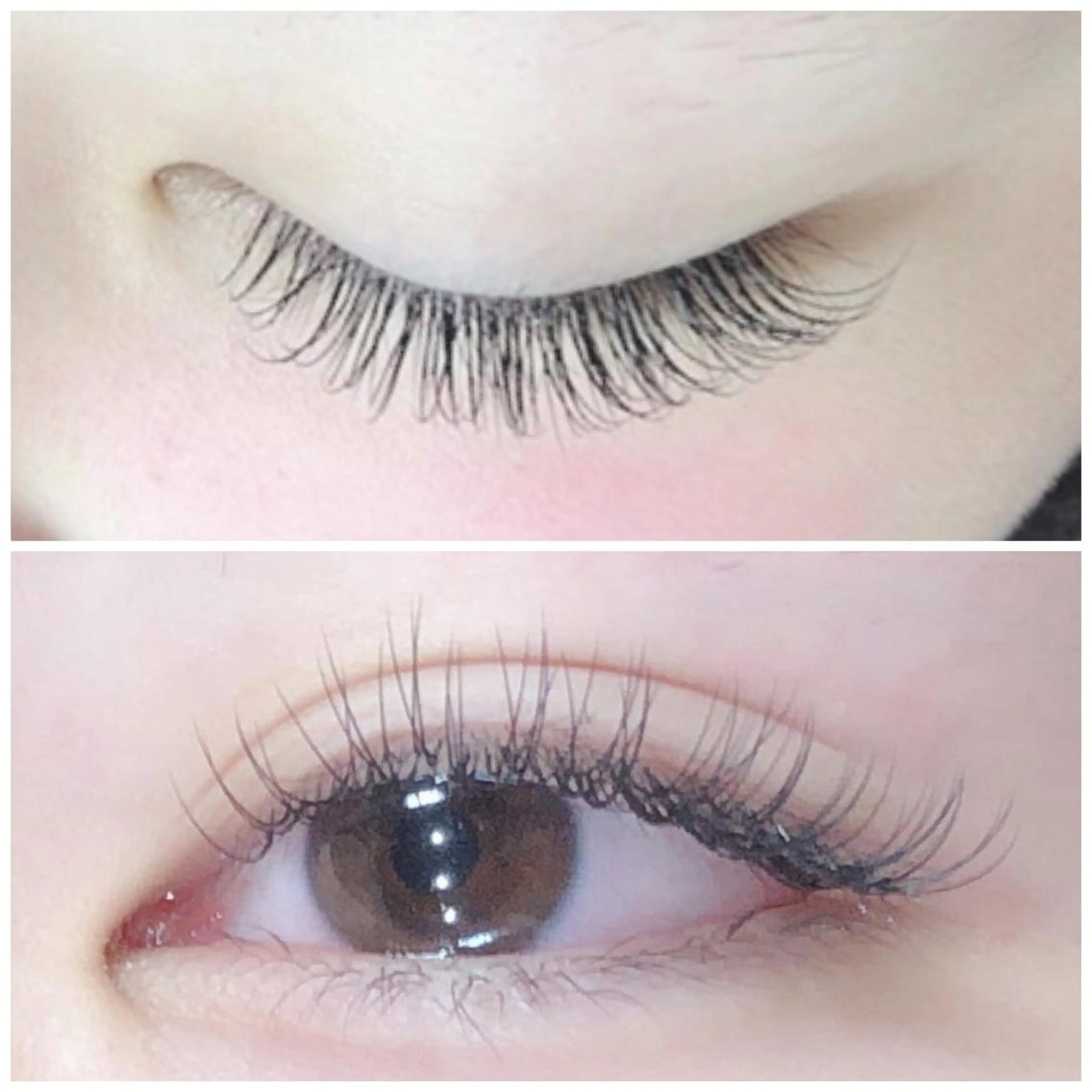 マツエク・マツパ mahalo 鈴木のマツエク・マツパデザイン