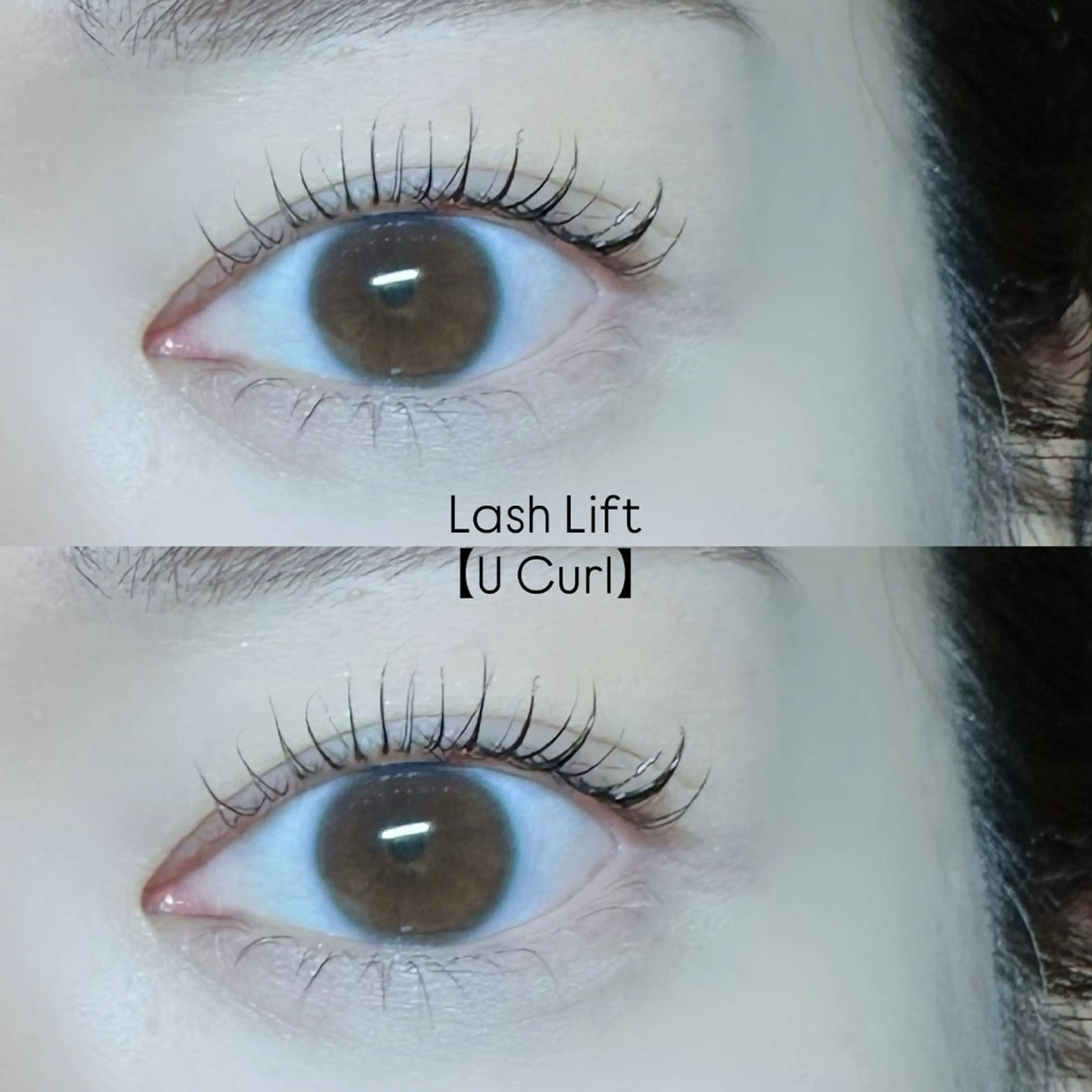 🌼ラッシュリフト上下パーマ🌼の写真