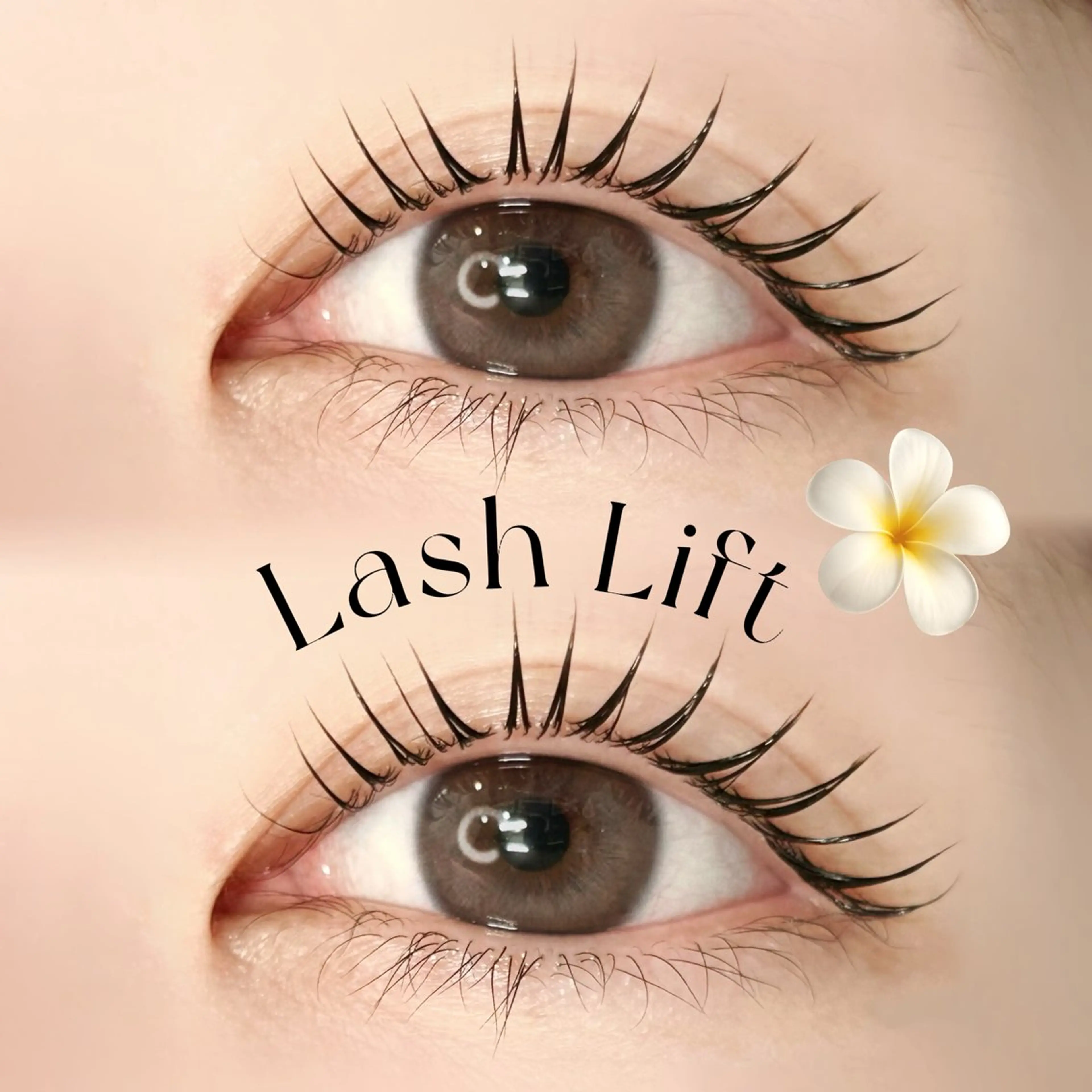 【🆕平日U25限定♡】まつ毛美人は作れる♡ナチュ盛れまつパ💖の写真