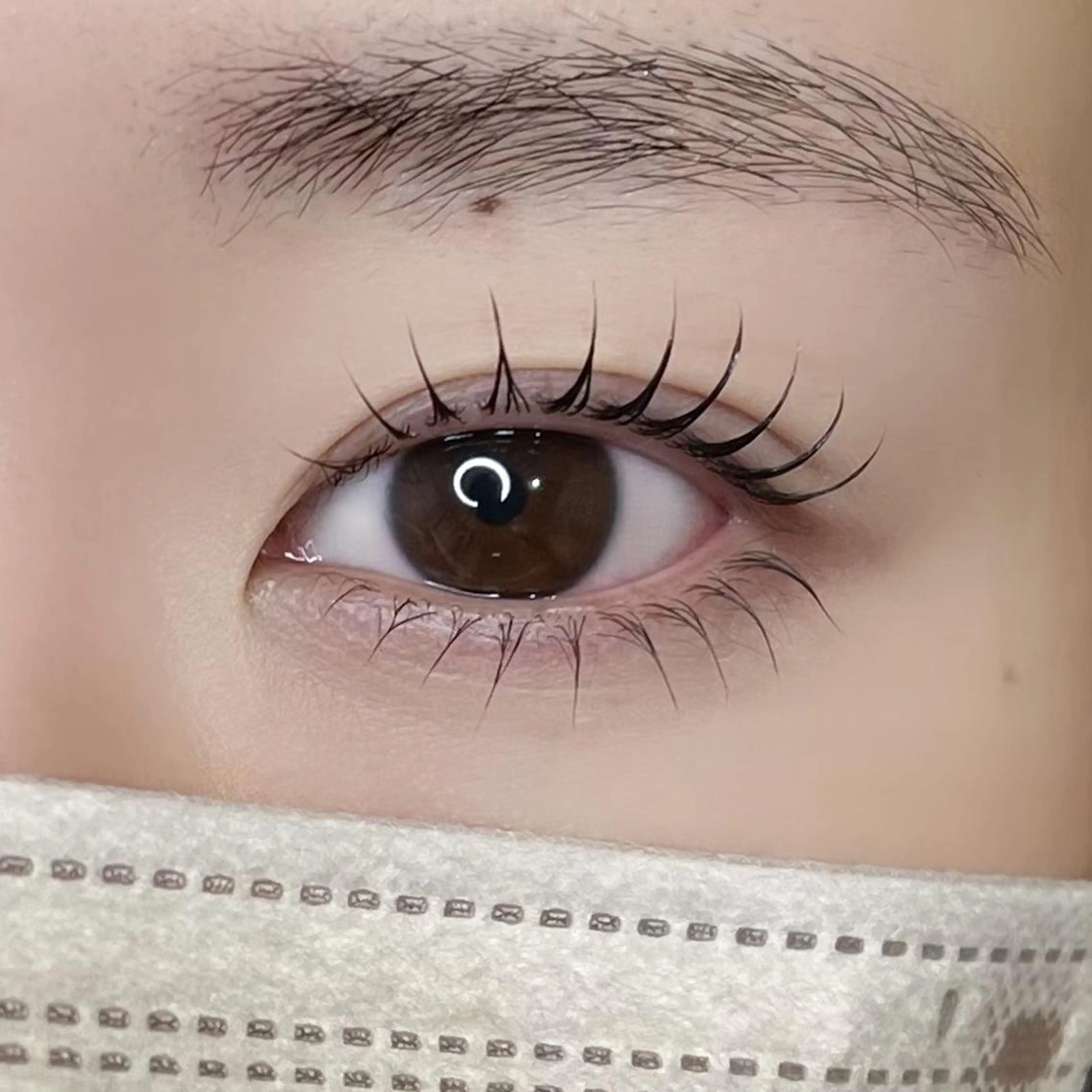 上下似合わせラッシュリフト(パリジェンヌ変更不可)の写真