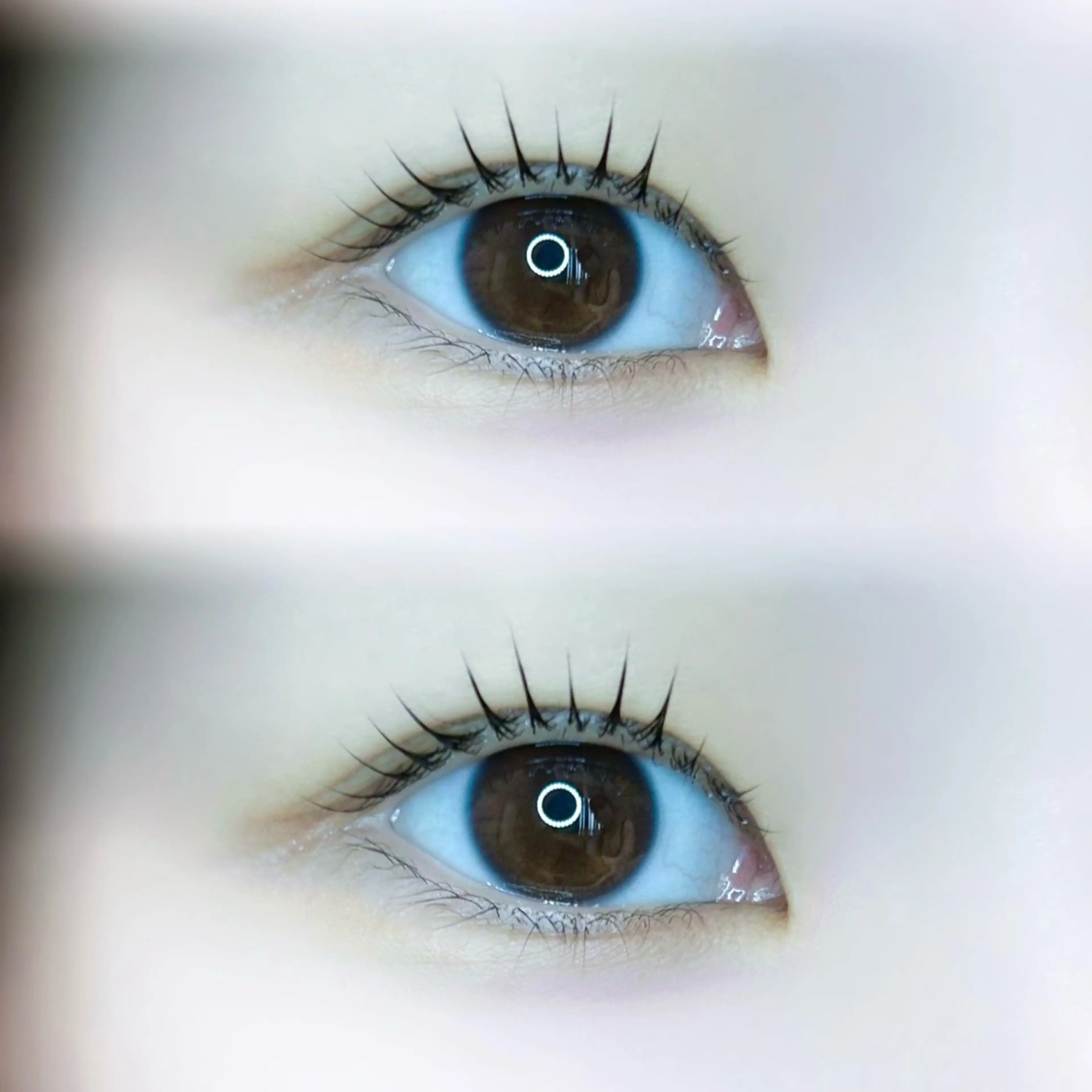 マツエク・マツパ パリジェンヌラッシュリフト 🍀fein. sakura🍀の眉毛・アイブロウイメージ