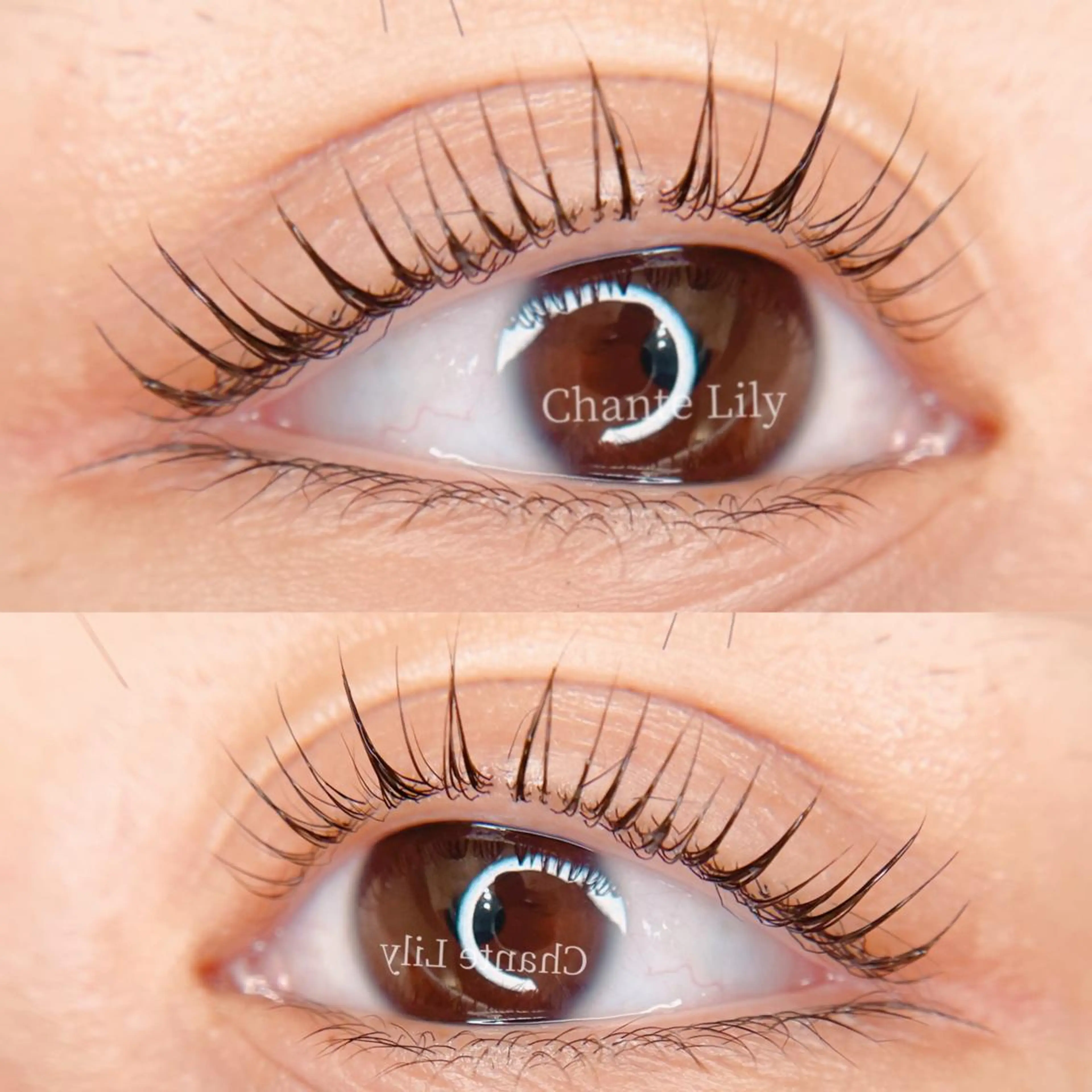 マツエク・マツパ マツパ 森崎 麗のマツエク・マツパデザイン