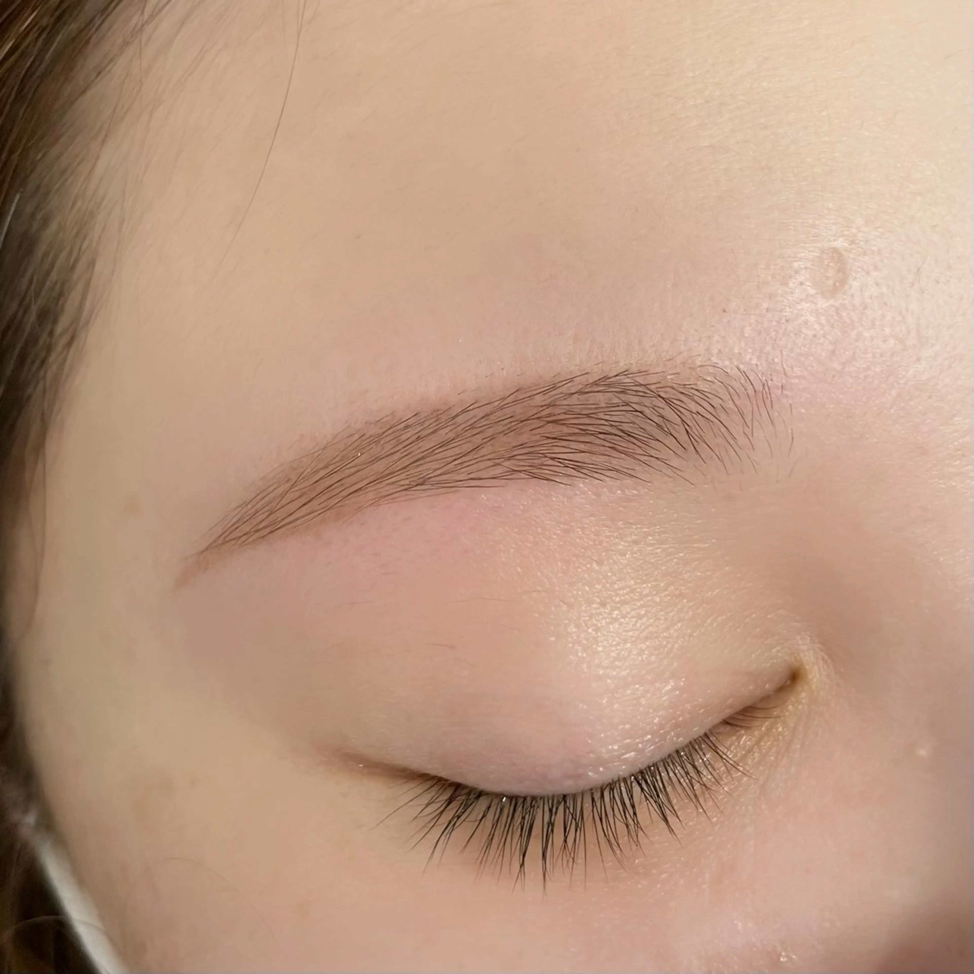 マツエク・マツパ 韓国風マツエク ナチュラル ワックス脱毛 眉カット その他(アイブロウ) Forest. honami 🤍の眉毛・アイブロウイメージ