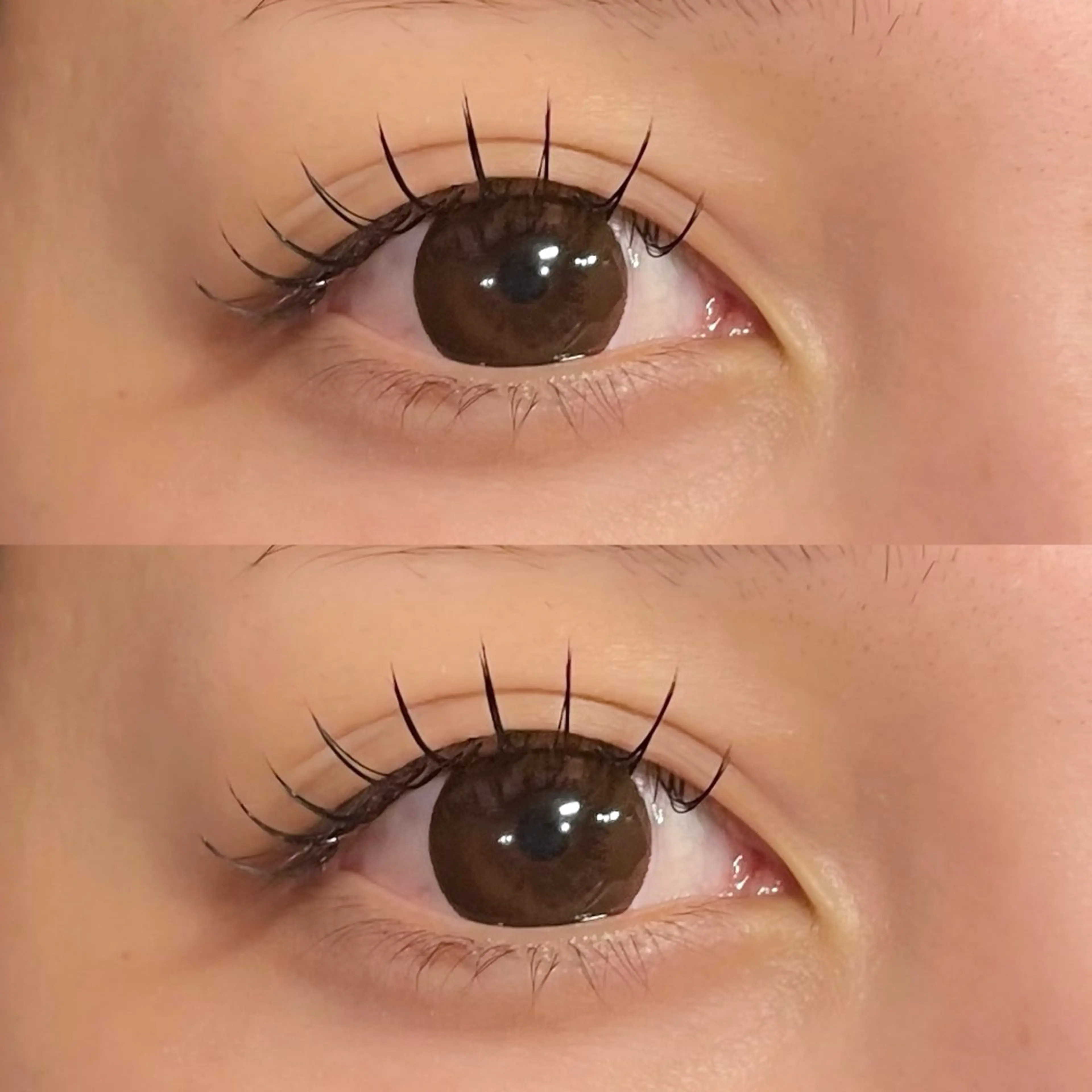 【ミニモ限定🤍】フラットラッシュ100本＋コーティング仕上げ✨️オフ＋500円の写真