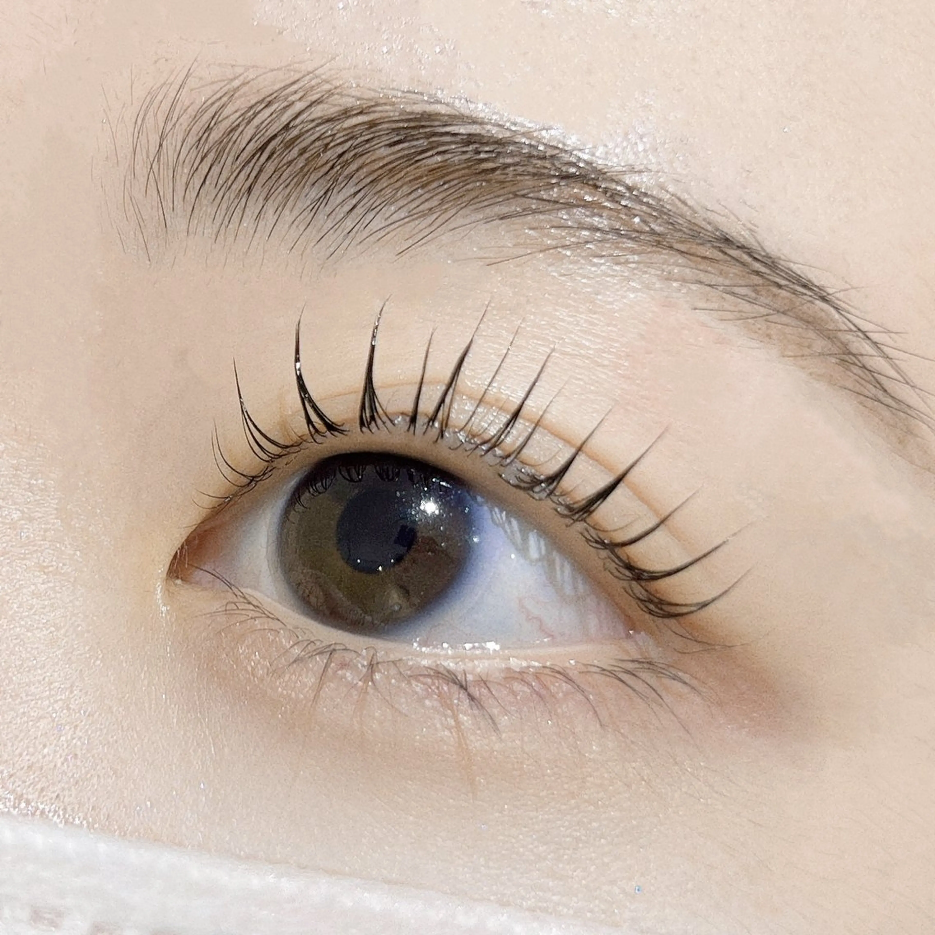 マツエク・マツパ パリジェンヌラッシュリフト マツパ eyelist 馬場のマツエク・マツパデザイン