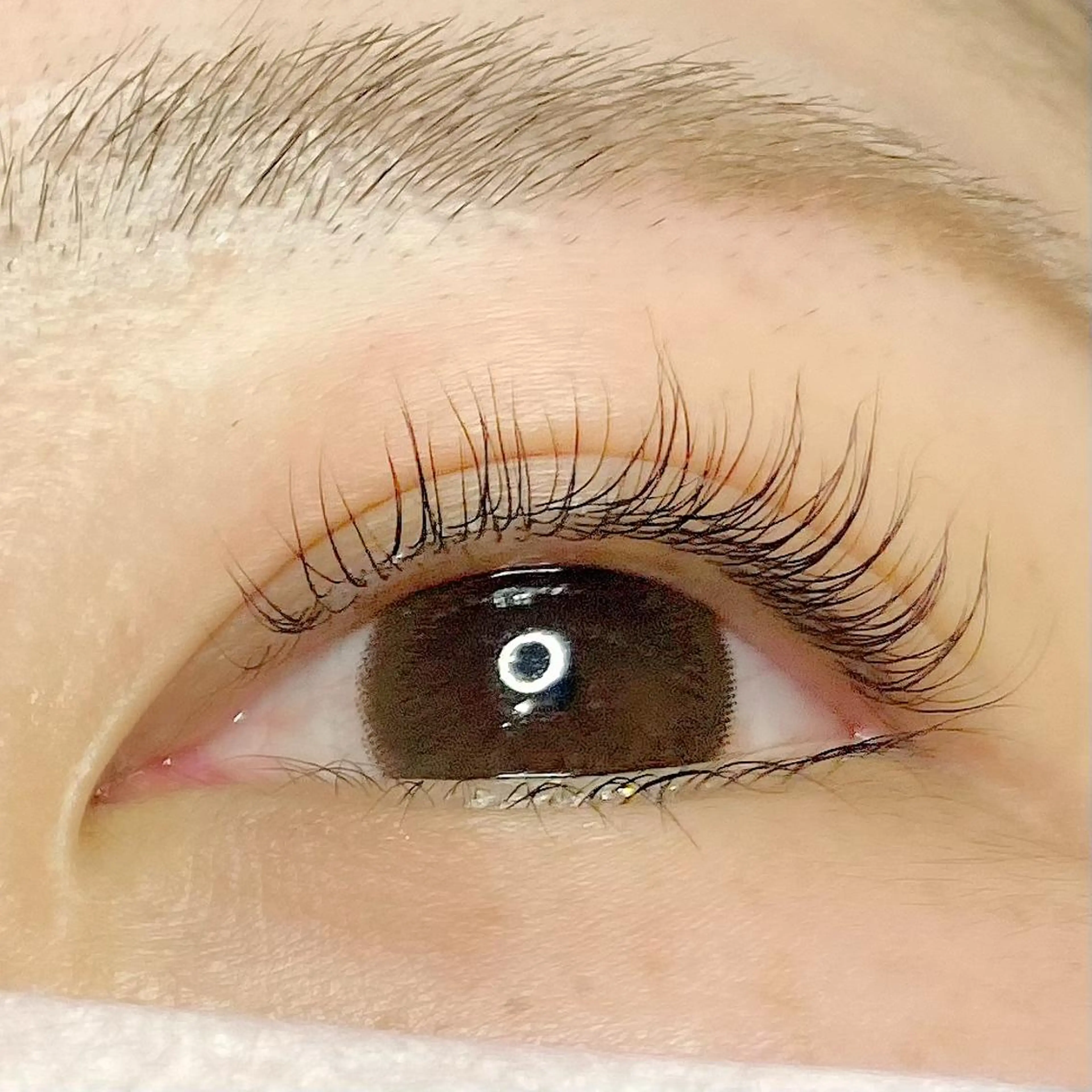 マツエク・マツパ ナオエ ハルカのマツエク・マツパデザイン