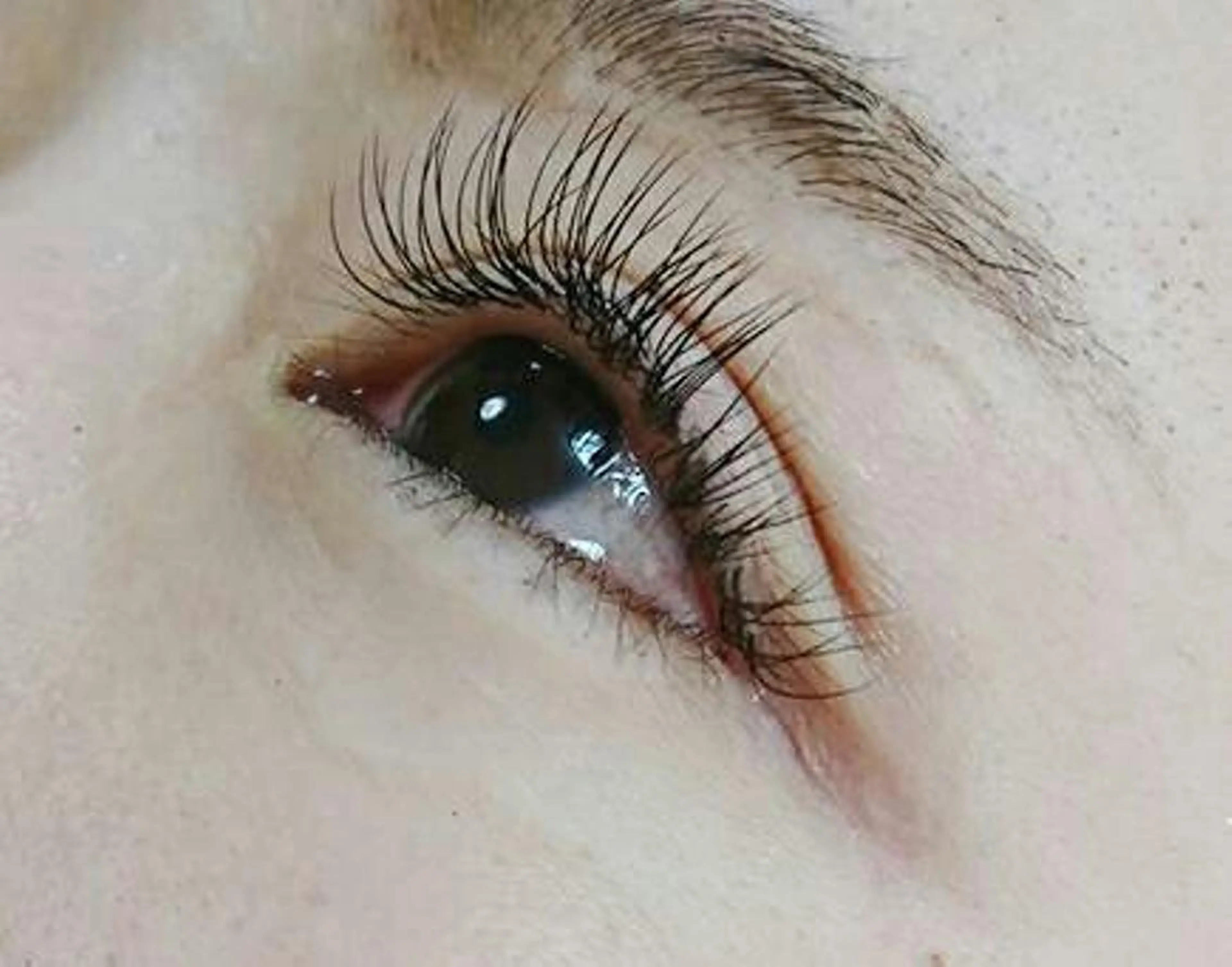 マツエク・マツパ キュート アネラ 北本店のマツエク・マツパデザイン