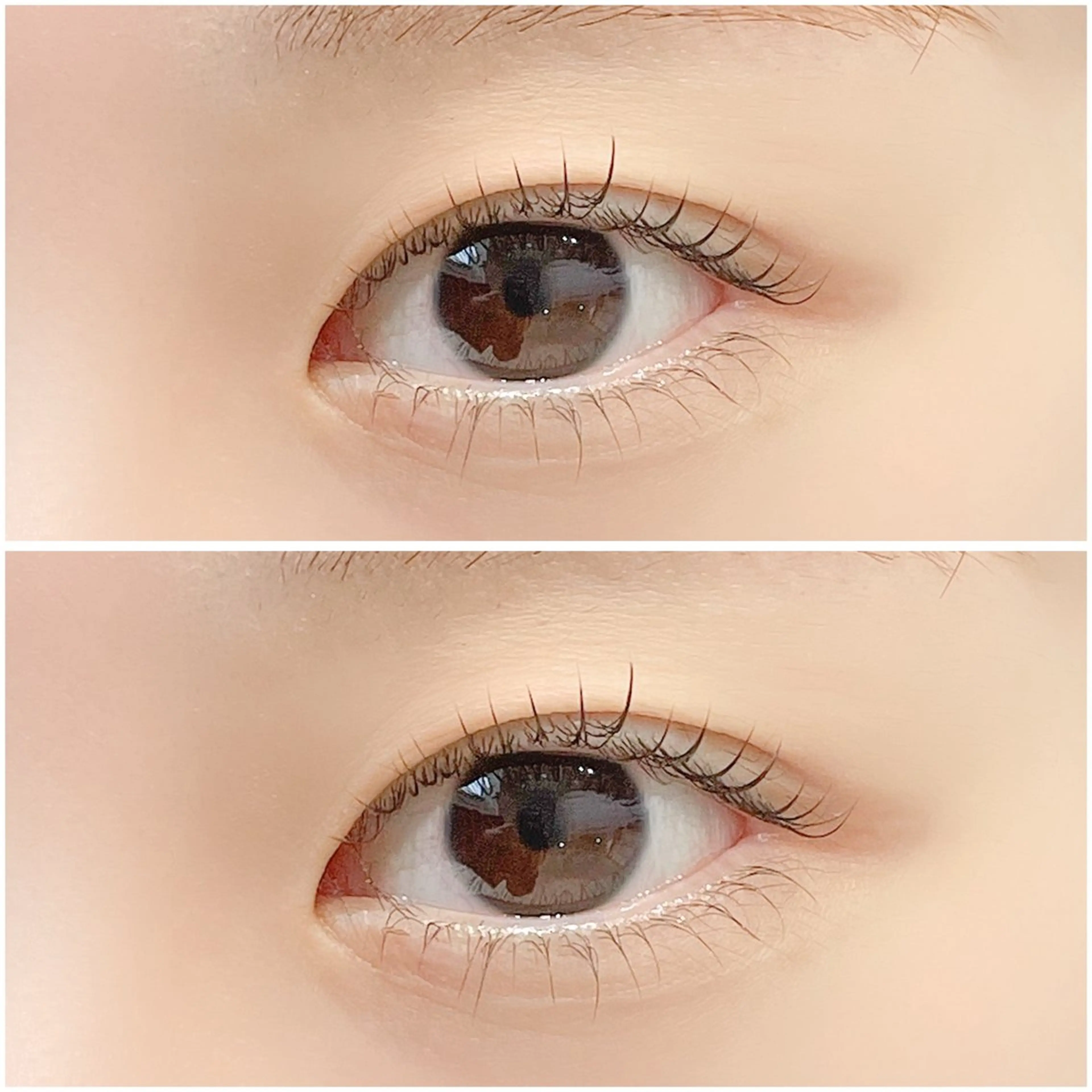 マツエク・マツパ まつげパーマ 下まつげエクステ マツパ 🤍Anna仙台店 田代 美咲‎🤍のマツエク・マツパデザイン