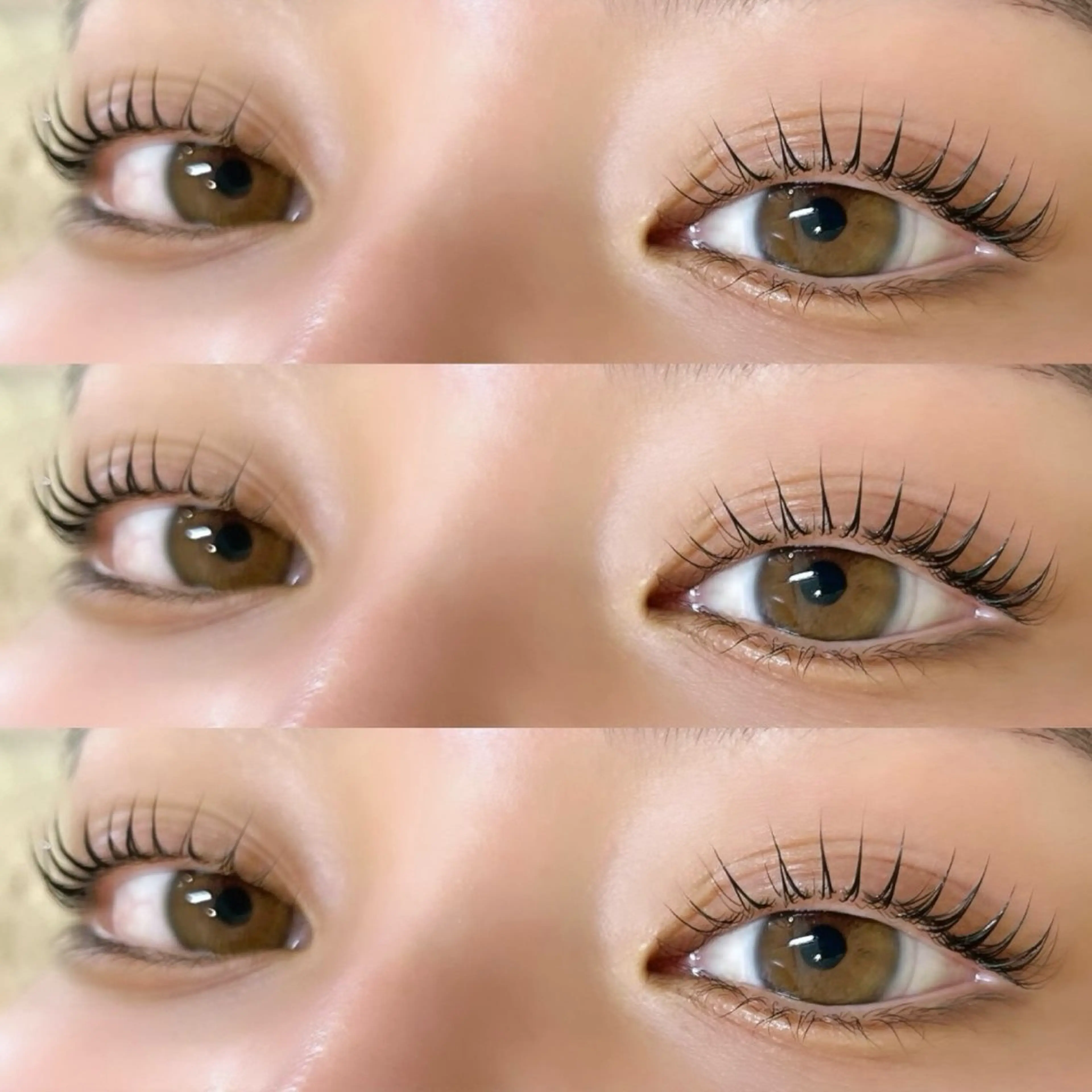 マツエク・マツパ 束感/LED/まつパ 🌼segawaのマツエク・マツパデザイン