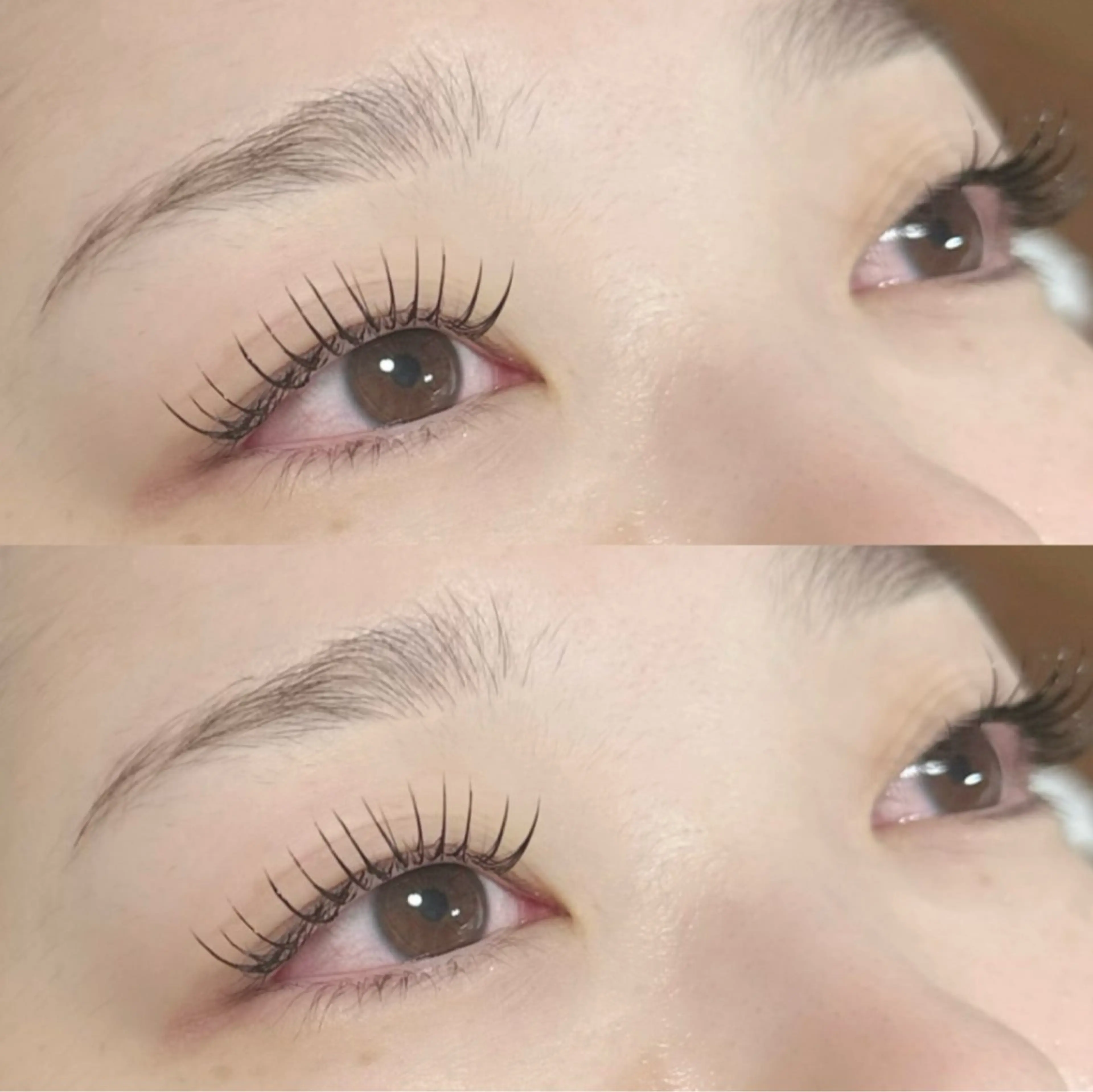 【4/20限定🎀】セーブルラッシュオフあり140本 or オフなし160本(⚠️注意事項お読みの上ご予約下さい)の写真