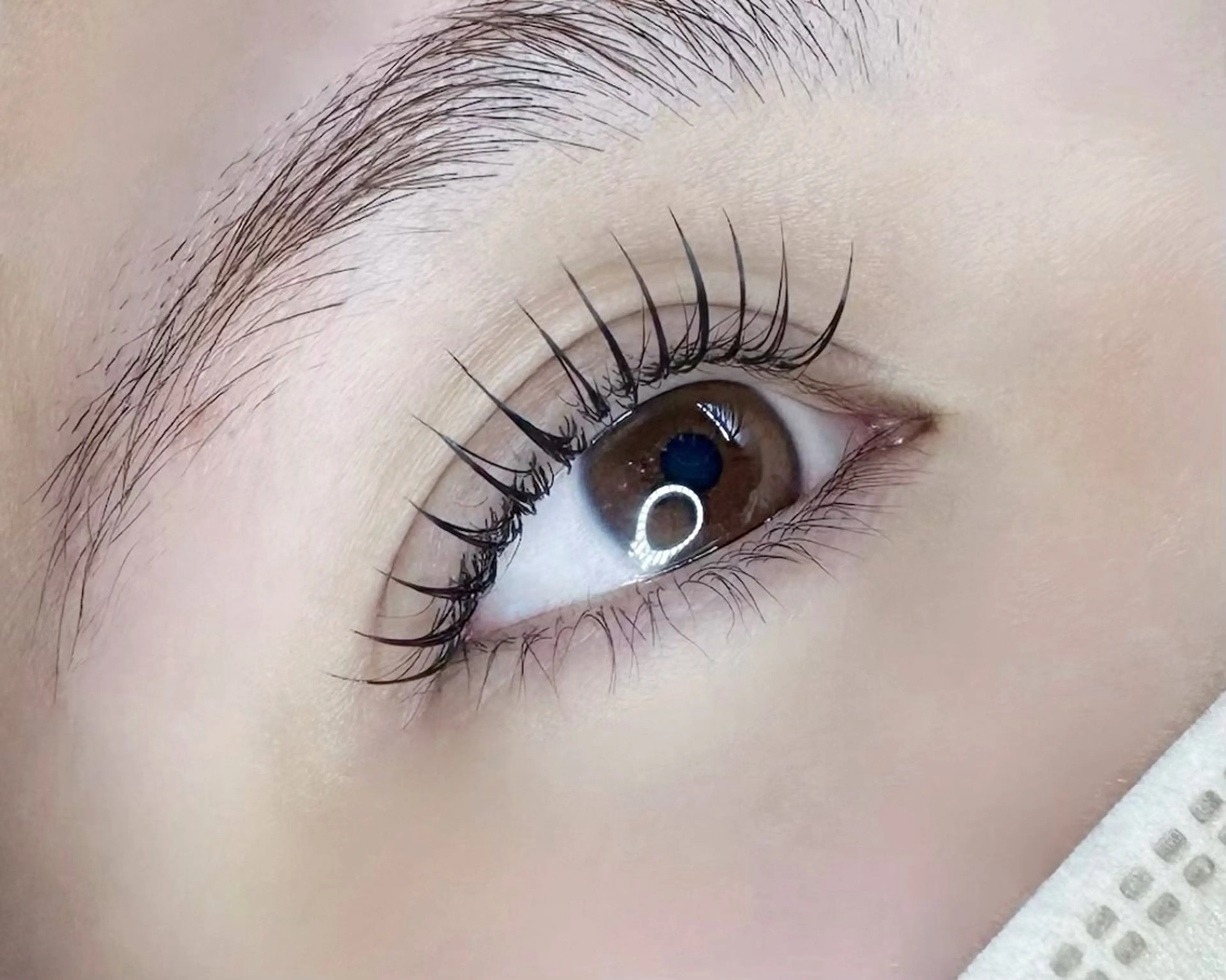 プラチナセーブル*140本の写真