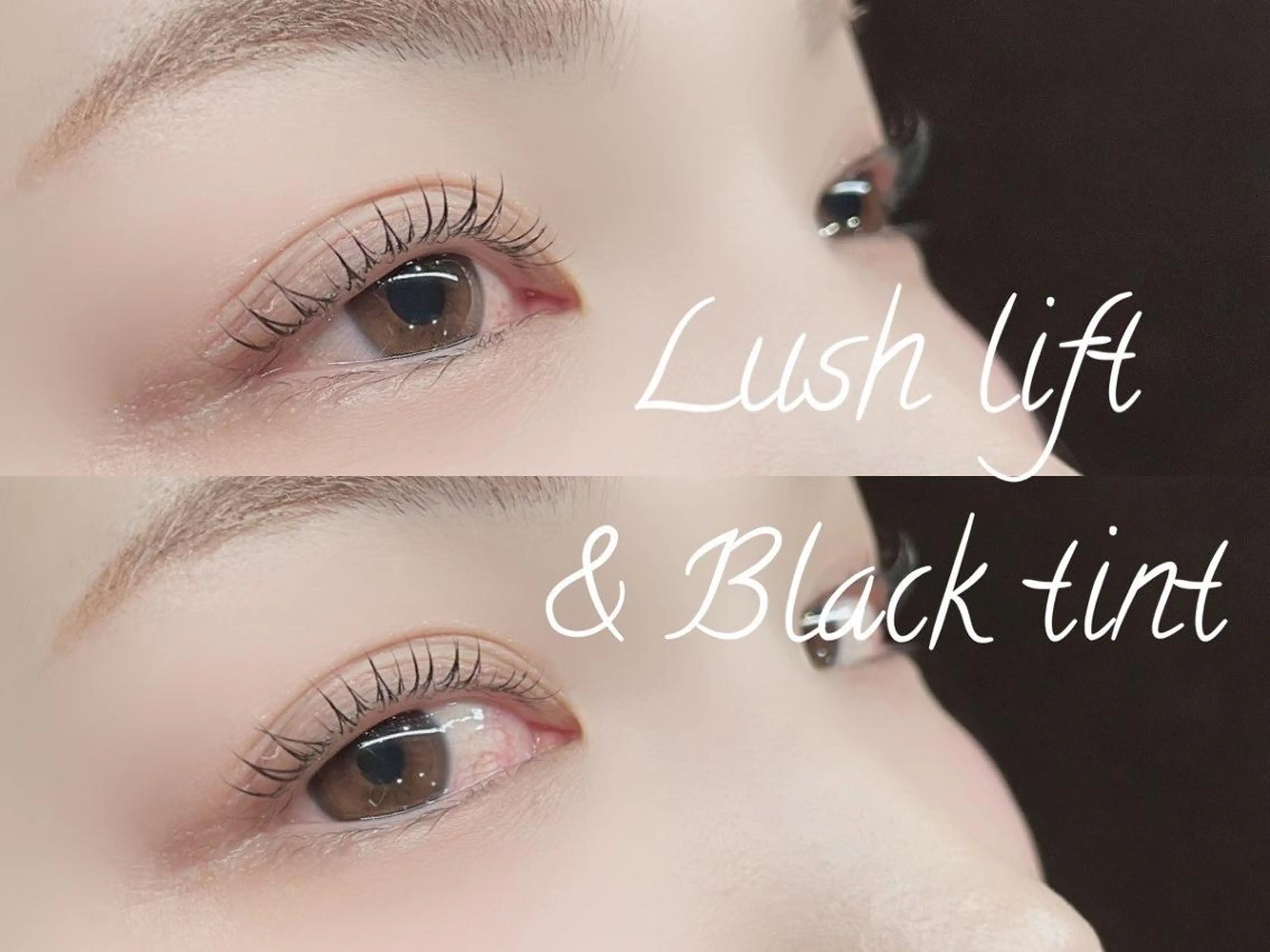 ご新規様限定♡韓国で話題🇰🇷マスカラパーマ🐈‍⬛【ブラックティントまつげパーマ&トリートメント】の写真