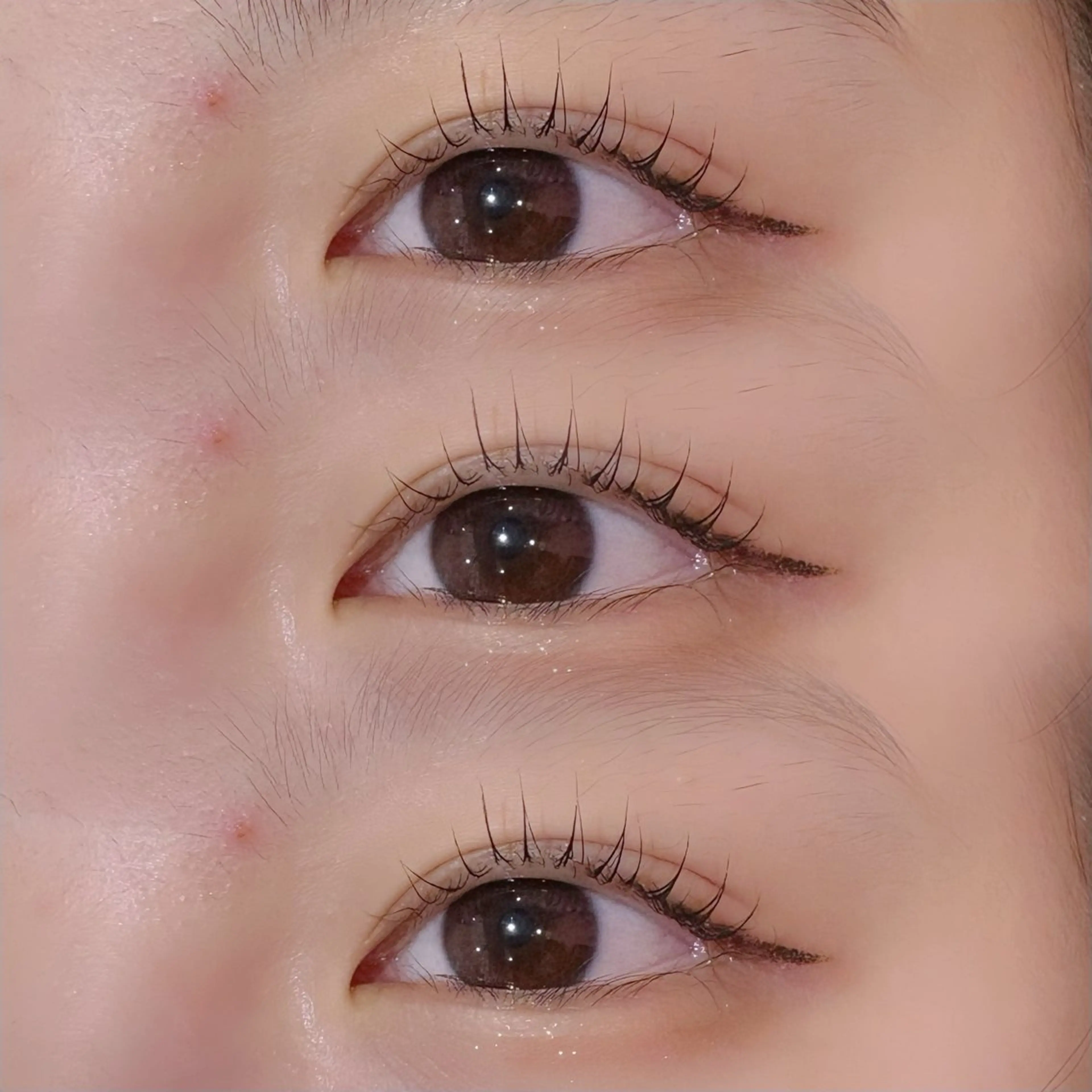 🍒まつ毛パーマ+眉毛ワックス🍒の写真