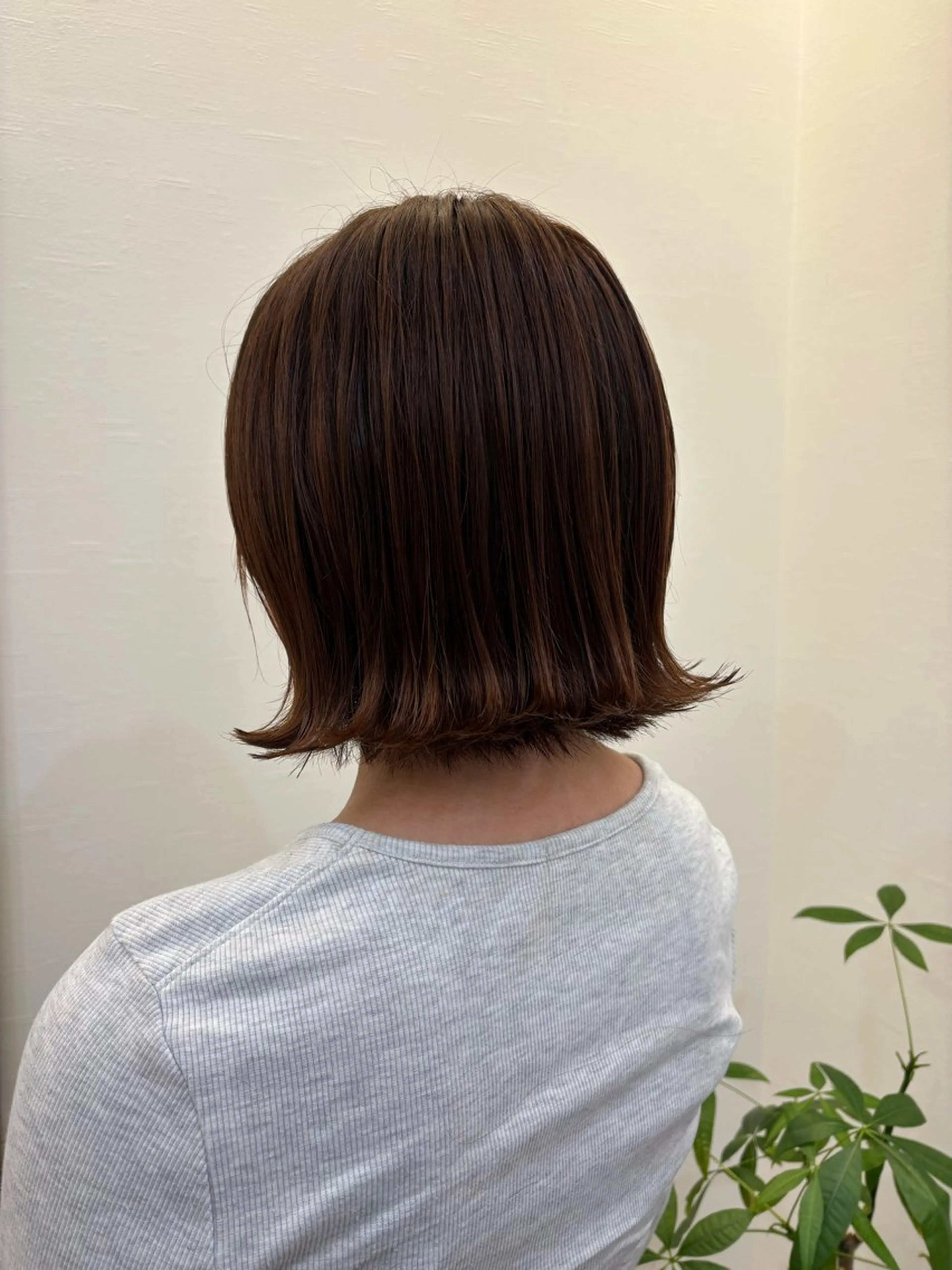 ショート ツノガイ エリのヘアスタイル