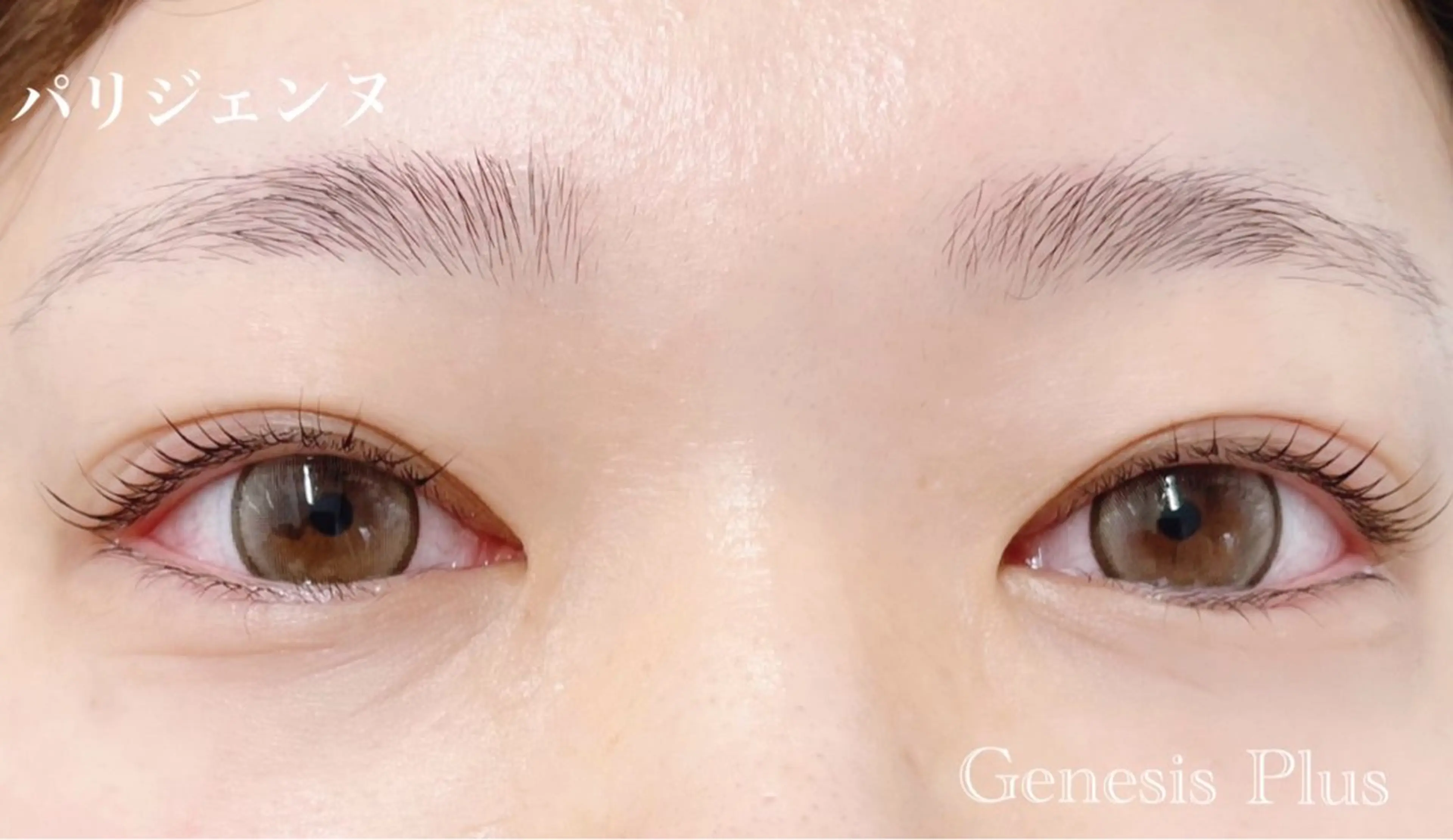 マツエク・マツパ パリジェンヌラッシュリフト マツパ Genesis Plus大津京店のマツエク・マツパデザイン