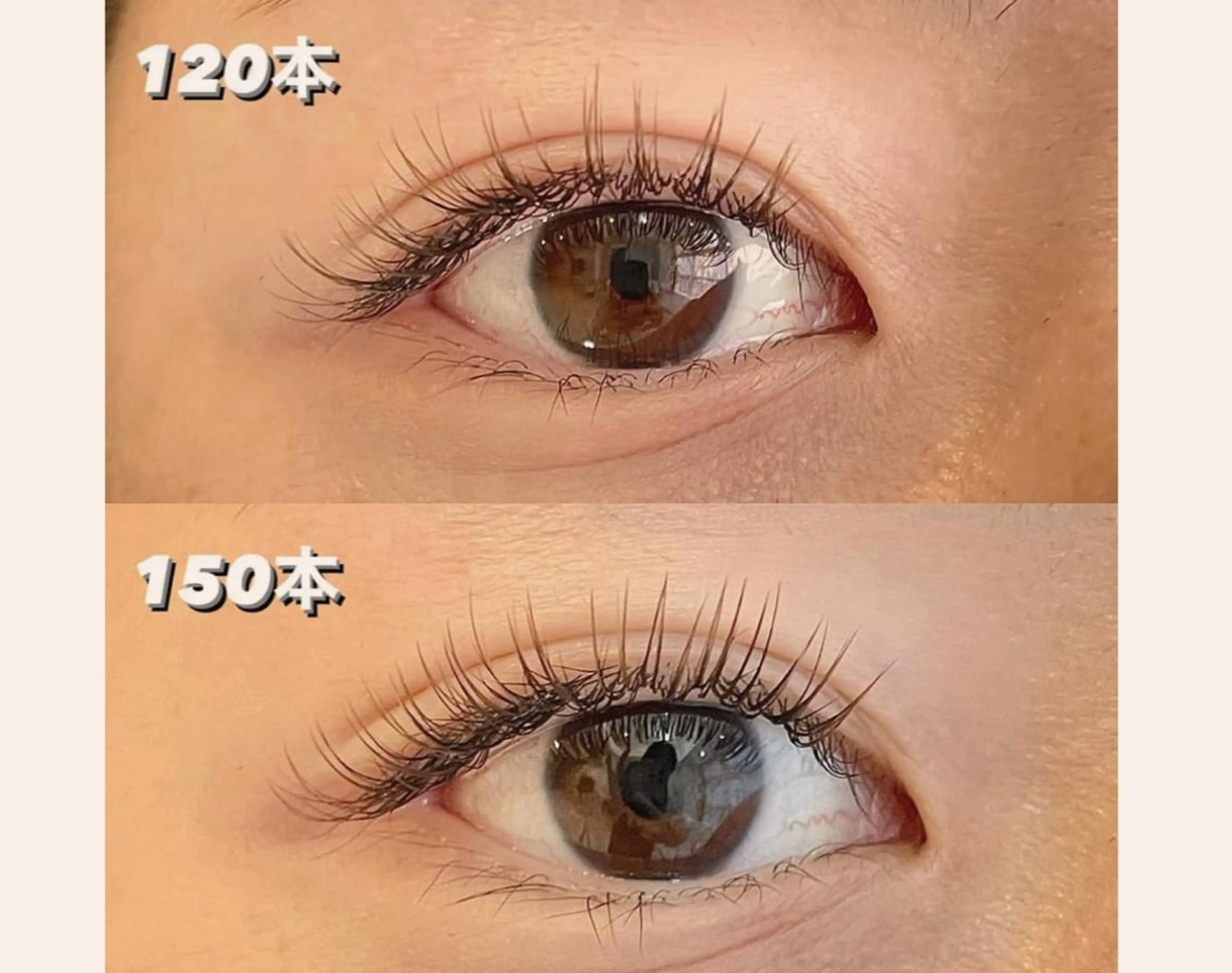 マツエク・マツパ マツエク lovit ラビットのマツエク・マツパデザイン