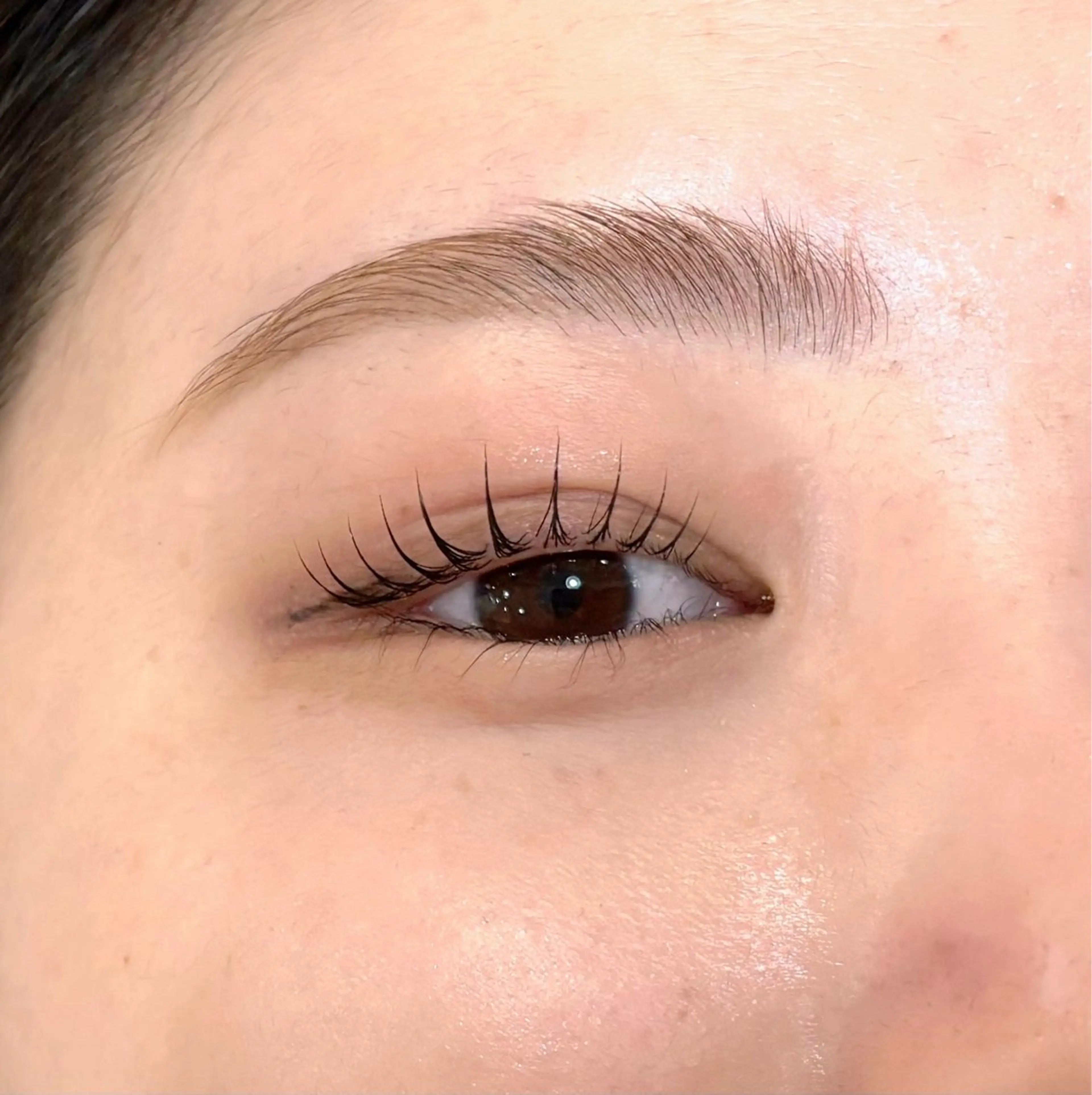 《✨ミニモ学割✨》パリジェンヌラッシュリフト(orラッシュリフト)+アイブロウwax ¥6600の写真