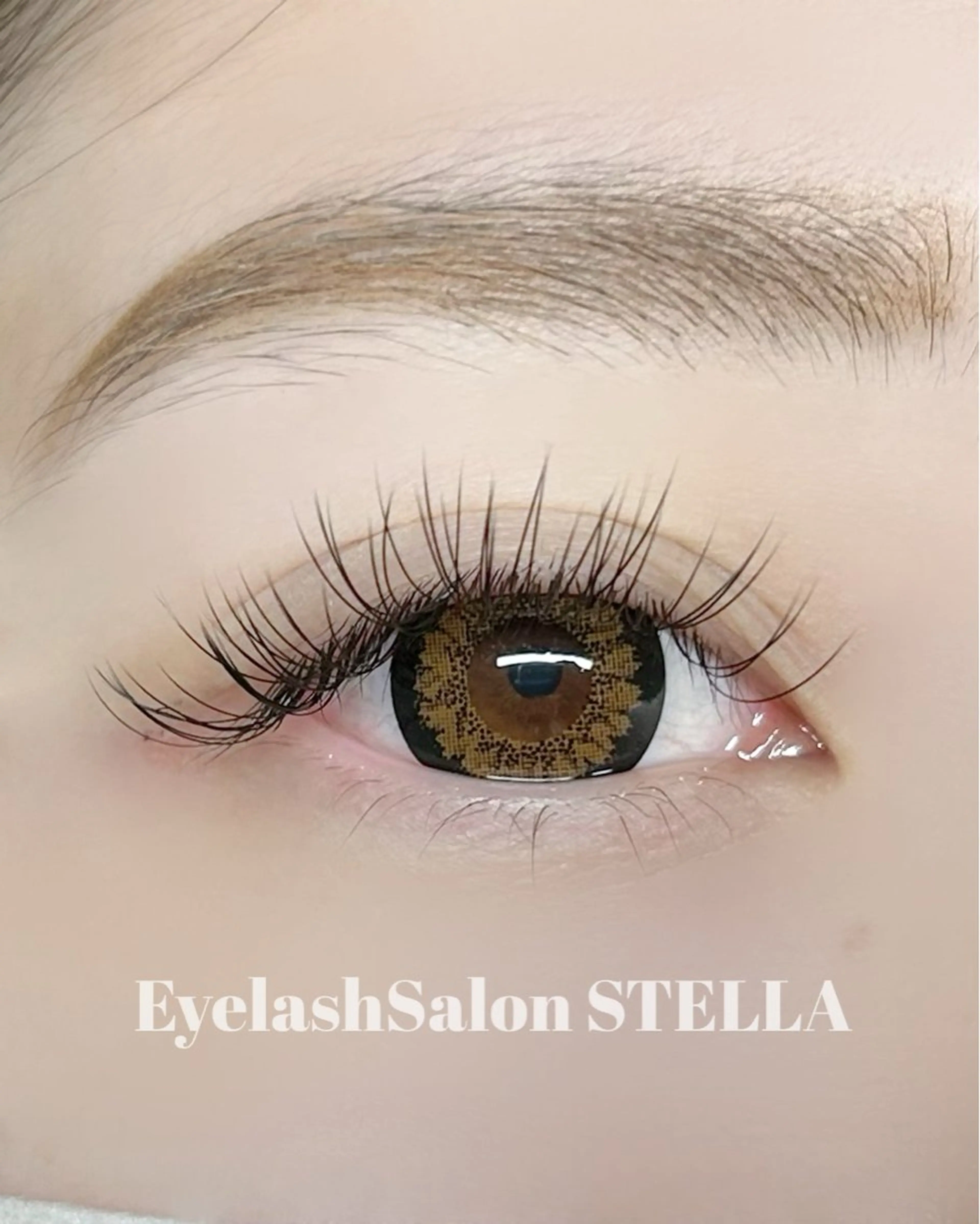 マツエク・マツパ フラットラッシュ マツエク Stella Harunaのマツエク・マツパデザイン