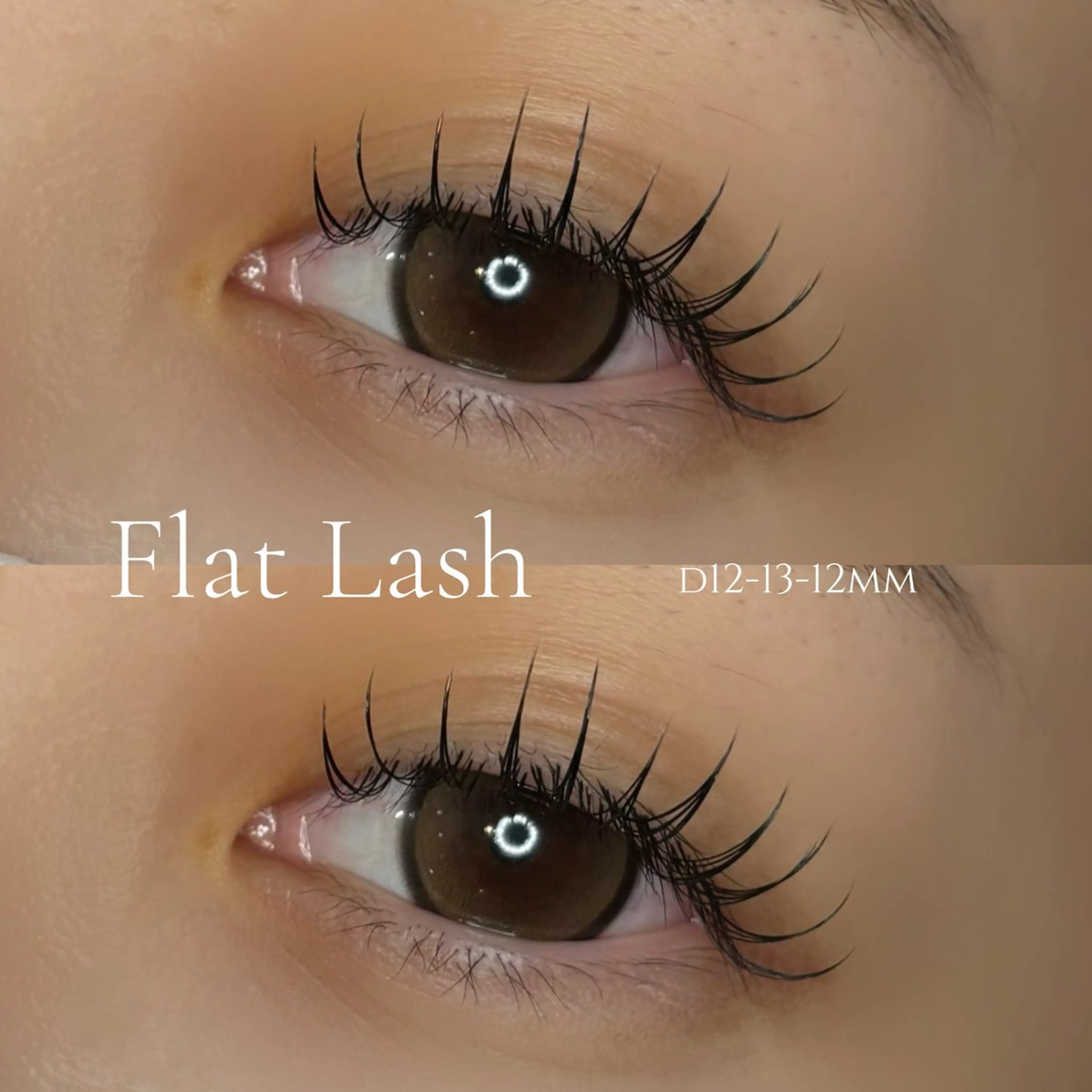 【⭐️束感⭐️】フラットラッシュ120本の写真