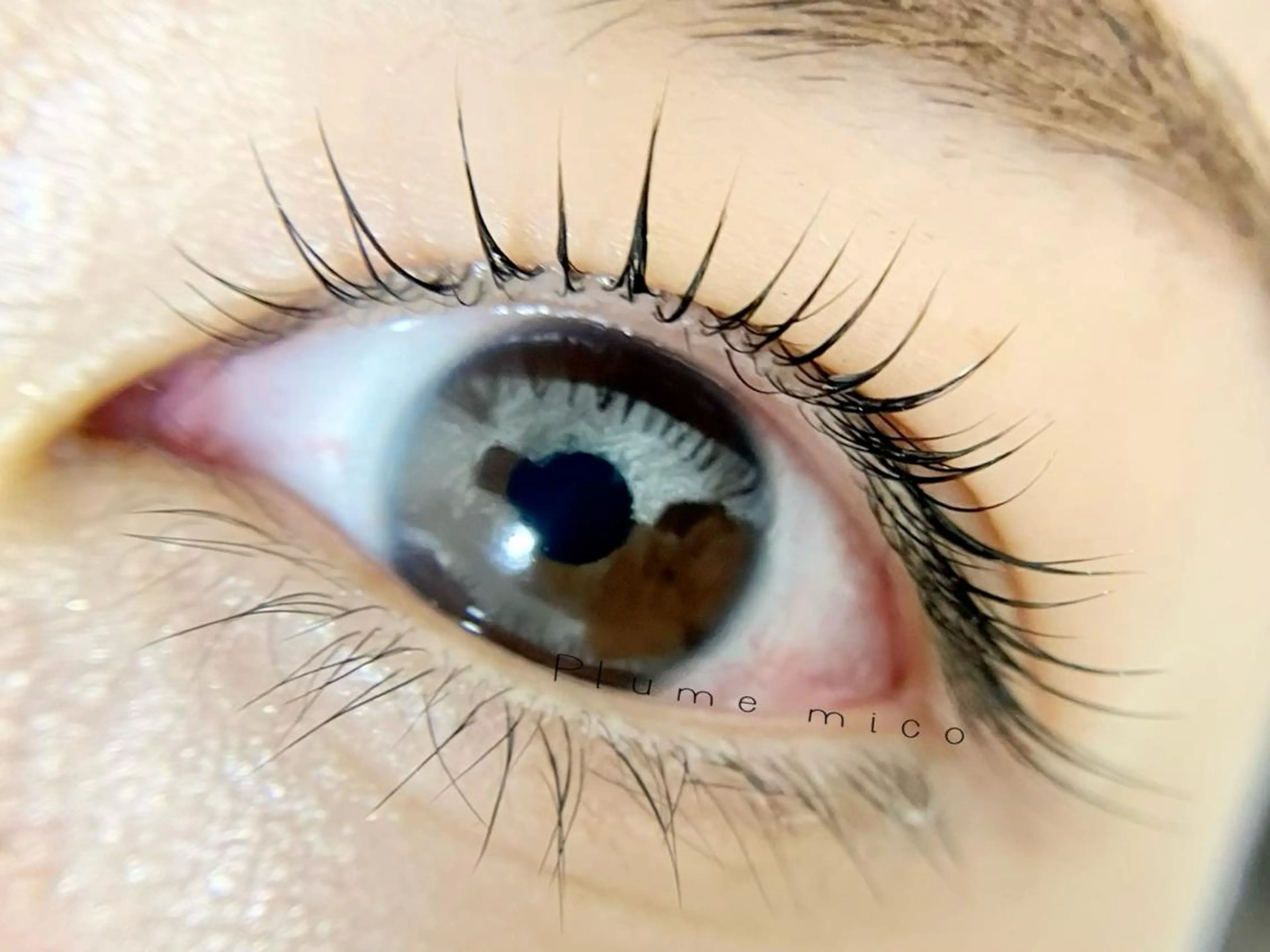 マツエク・マツパ カラーマツエク マツパ Plume micoのマツエク・マツパデザイン