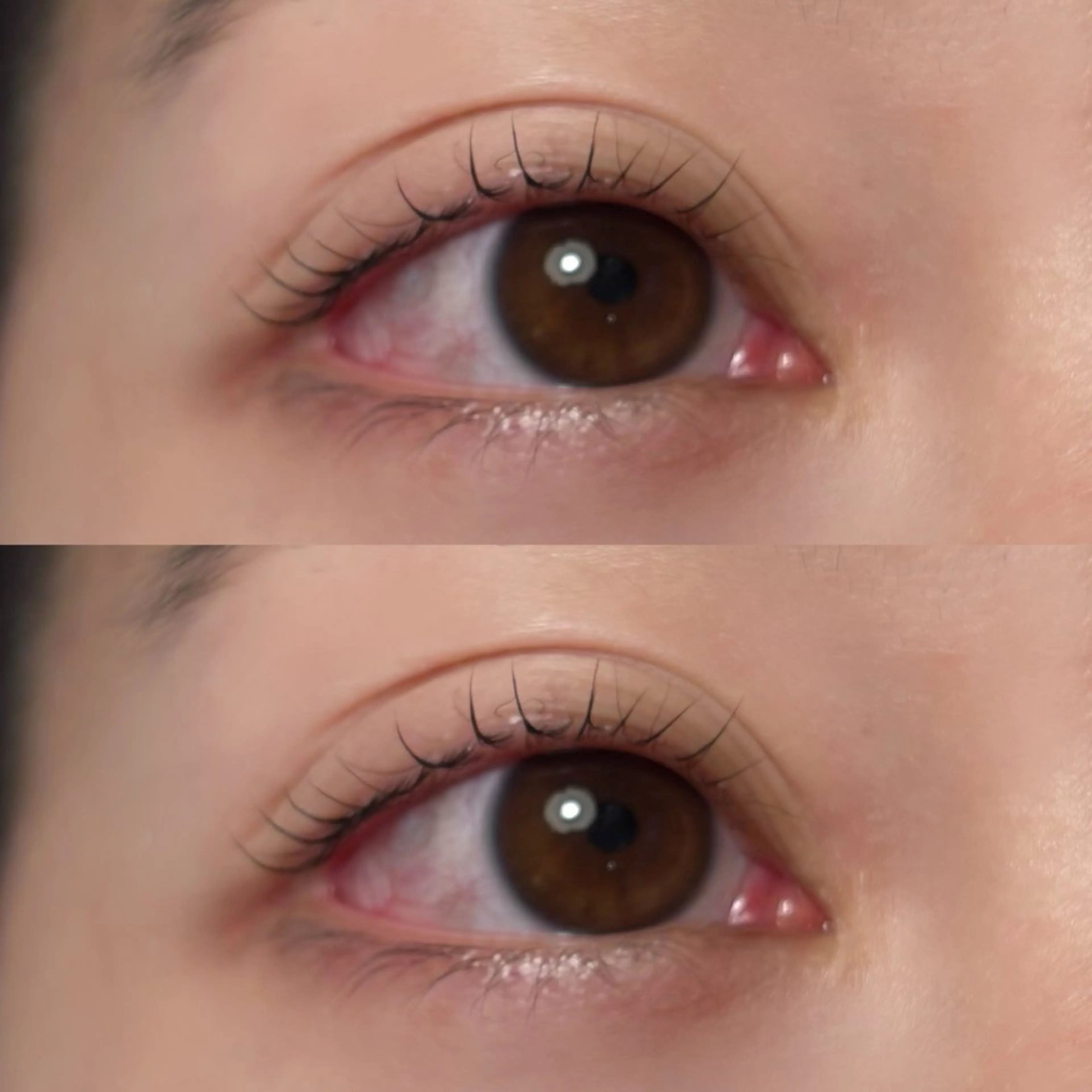 マツエク・マツパ 🍇chinatsu 🍇en Rêveのマツエク・マツパデザイン