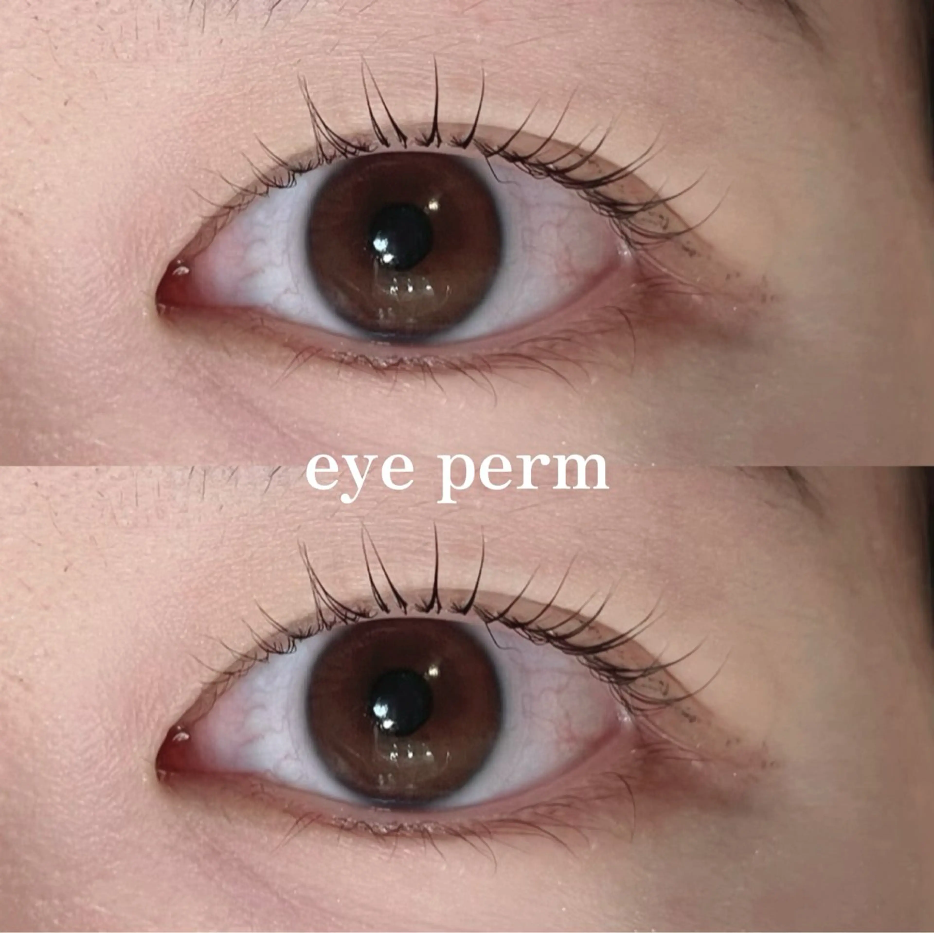 マツエク・マツパ Mon mignon ෆmomokaのマツエク・マツパデザイン