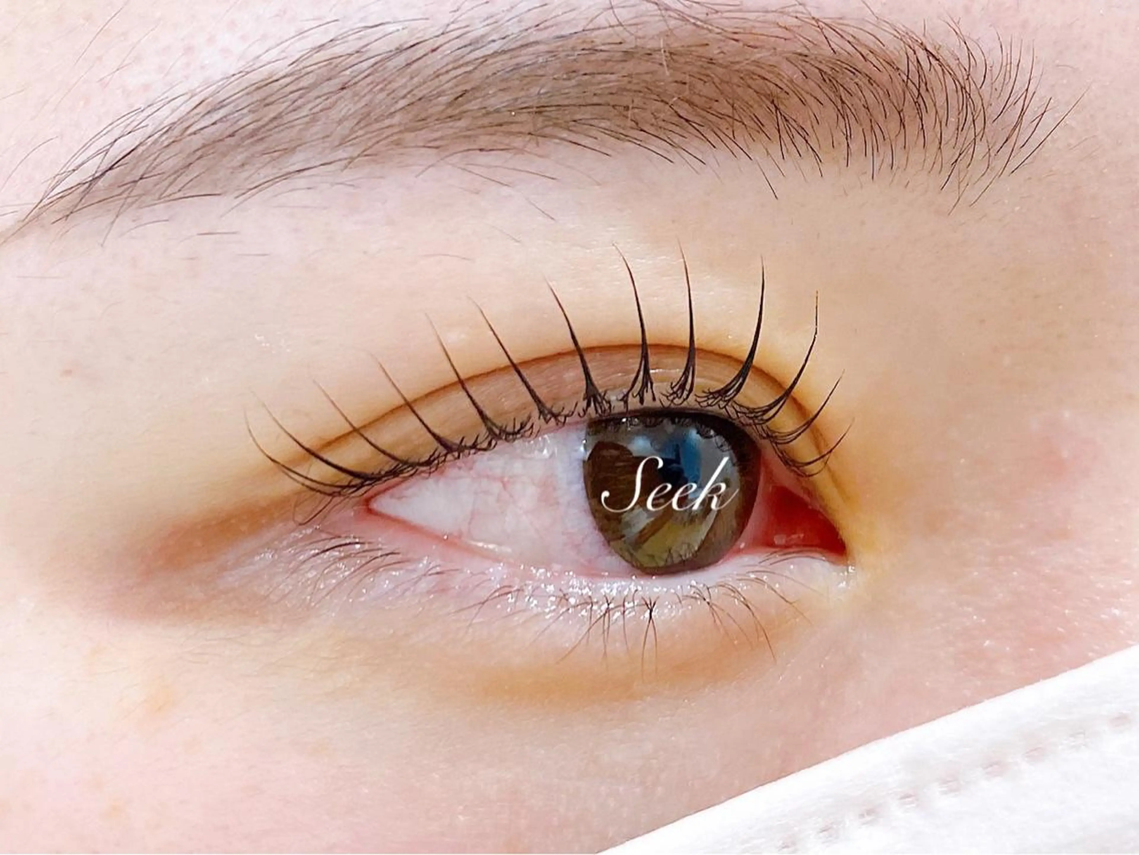 マツエク・マツパ ケラチンラッシュリフト マツパ Seek lash&browのエステ・リラクイメージ