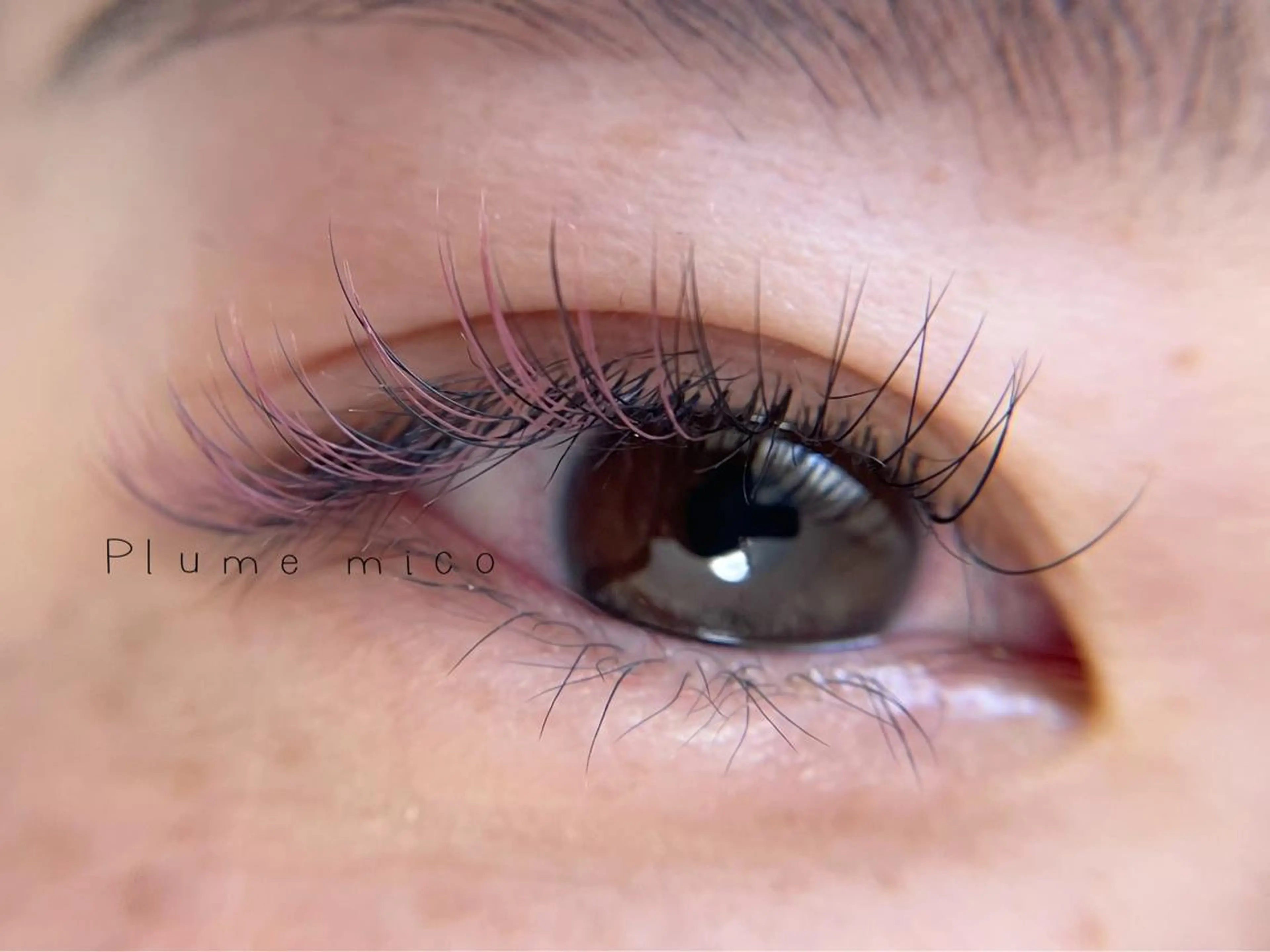 マツエク・マツパ マツエク Plume micoのマツエク・マツパデザイン