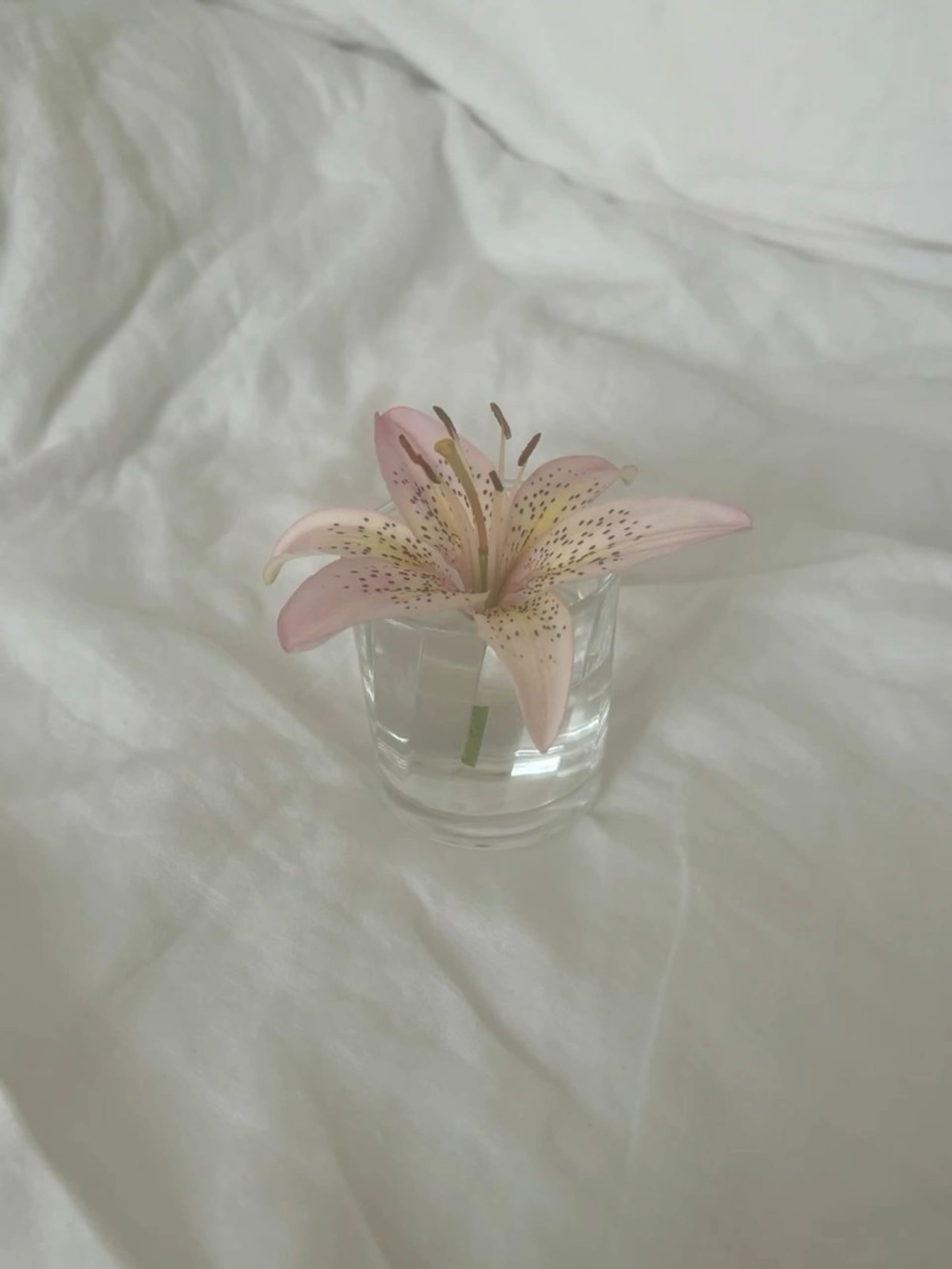 ご相談(日にち、お時間)の写真