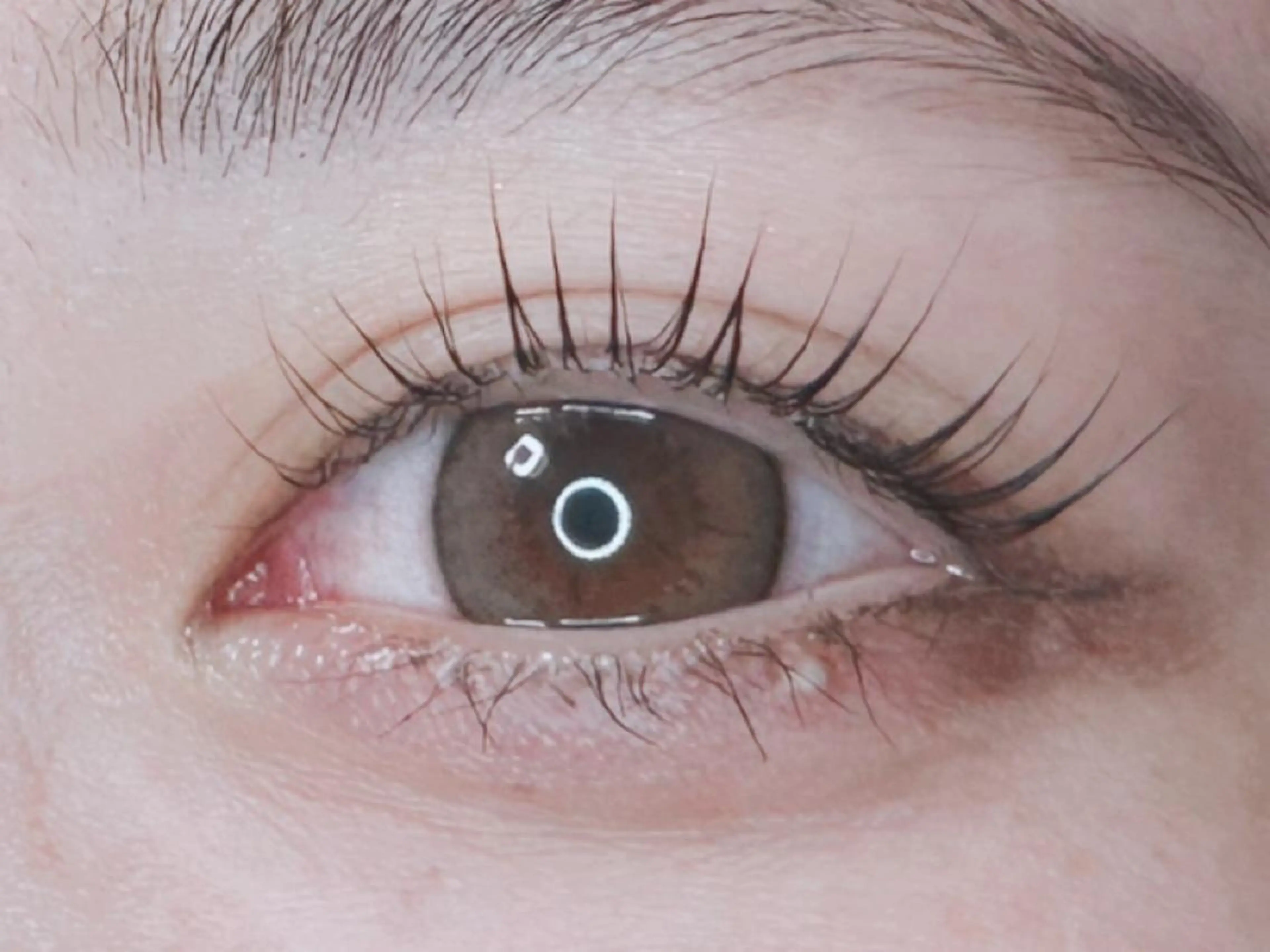 マツエク・マツパ パリジェンヌラッシュリフト 𝐉𝐎𝐋𝐈 アイリスト ❤︎のマツエク・マツパデザイン