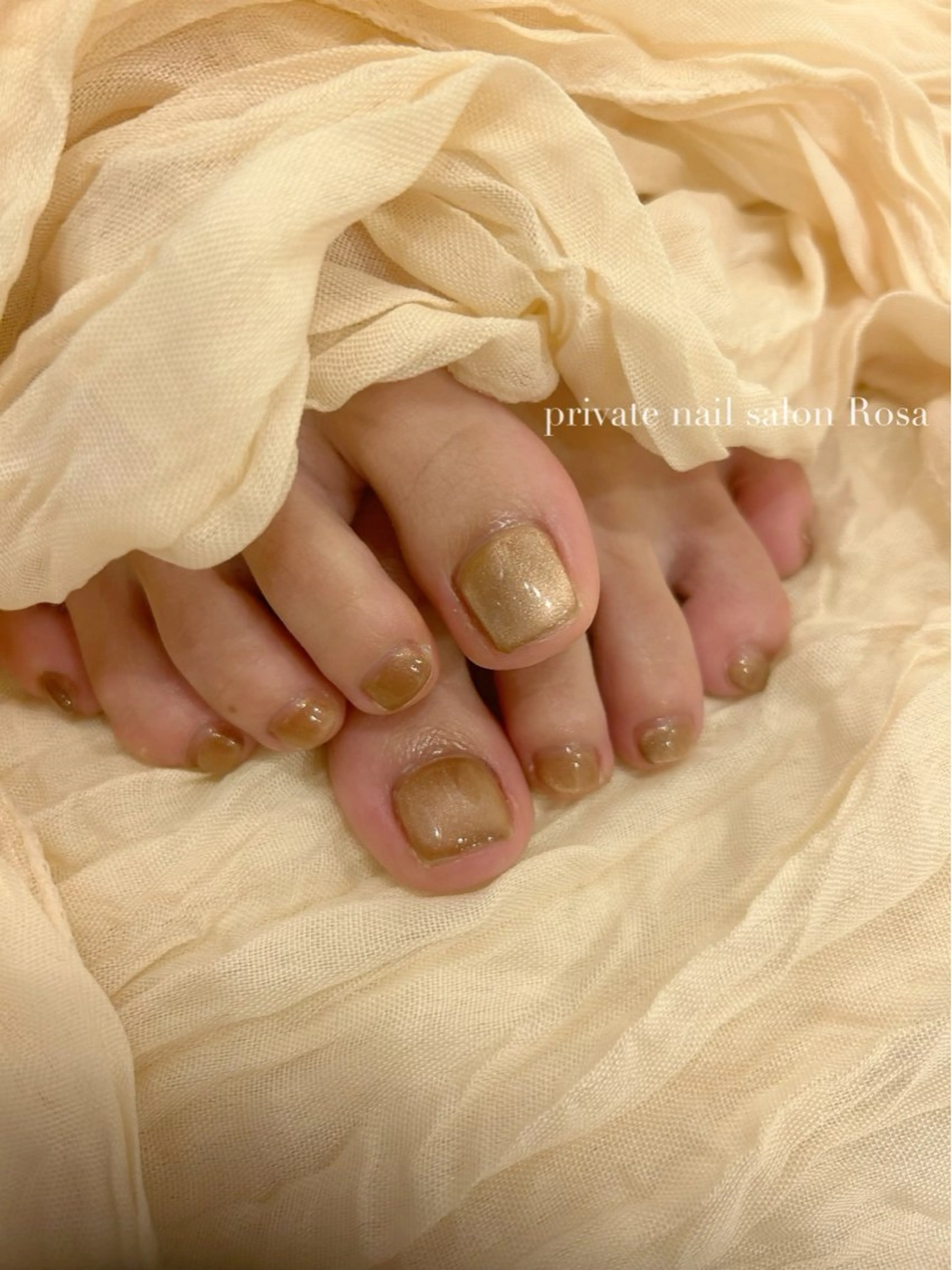 ネイル マグネットネイル nail salon Rosaのネイルデザイン