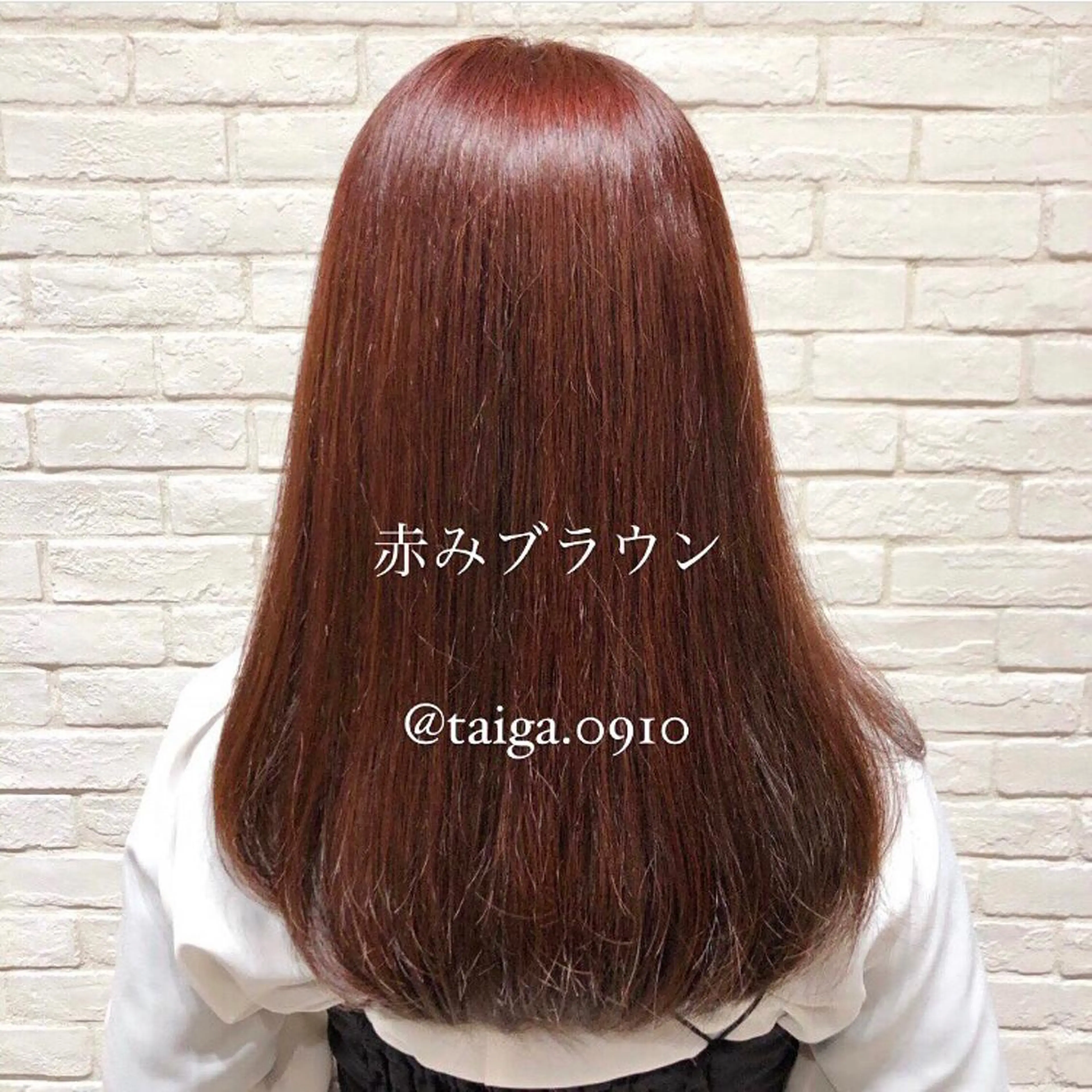 セミロング カラー ブラウンカラー 縮毛矯正 レディースヘア💫 加藤たいが🐯のヘアスタイル