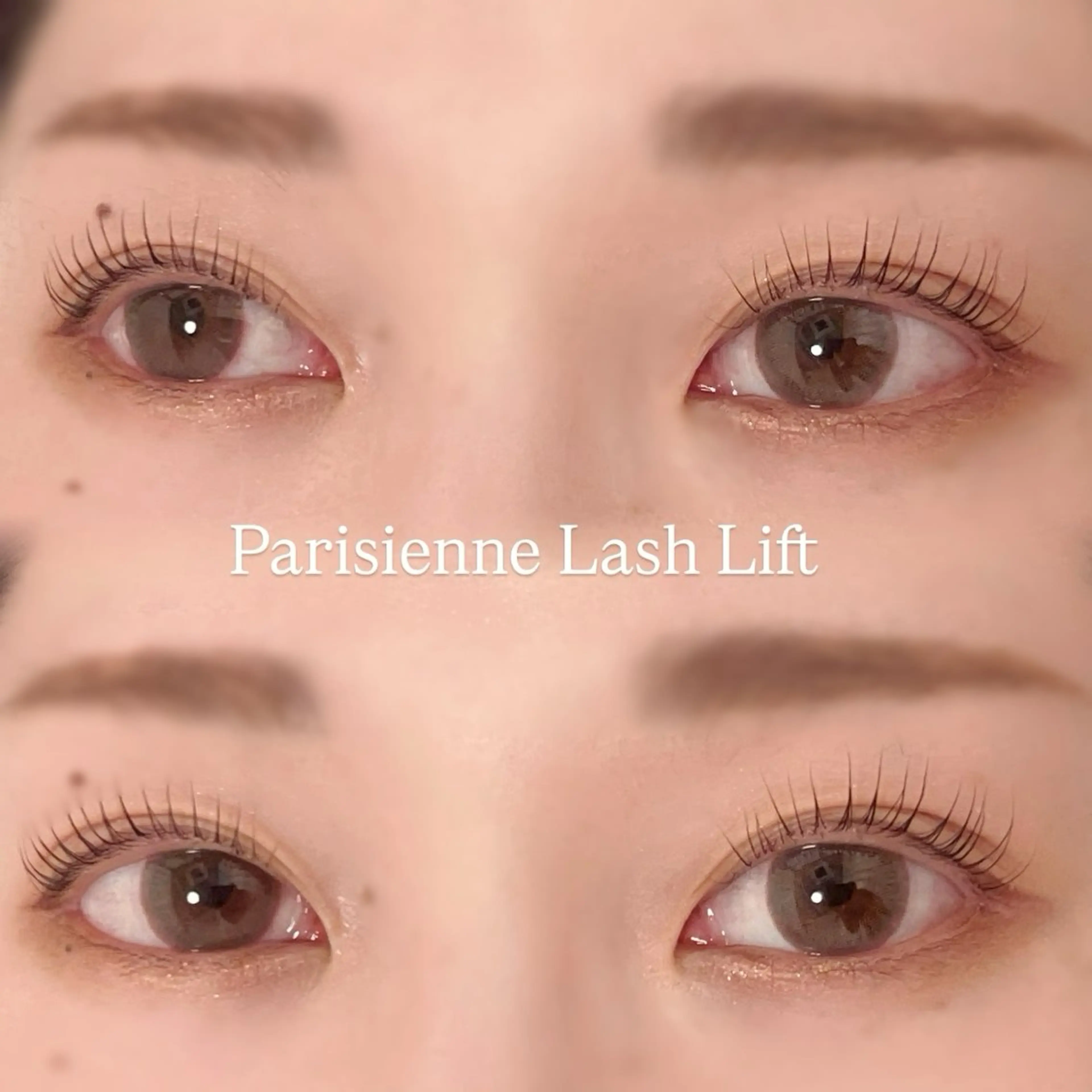 マツエク・マツパ 束感まつ毛 Cカール フラットラッシュ パリジェンヌラッシュリフト まつげパーマ こと / 束感マツエク🐩🤍のマツエク・マツパデザイン