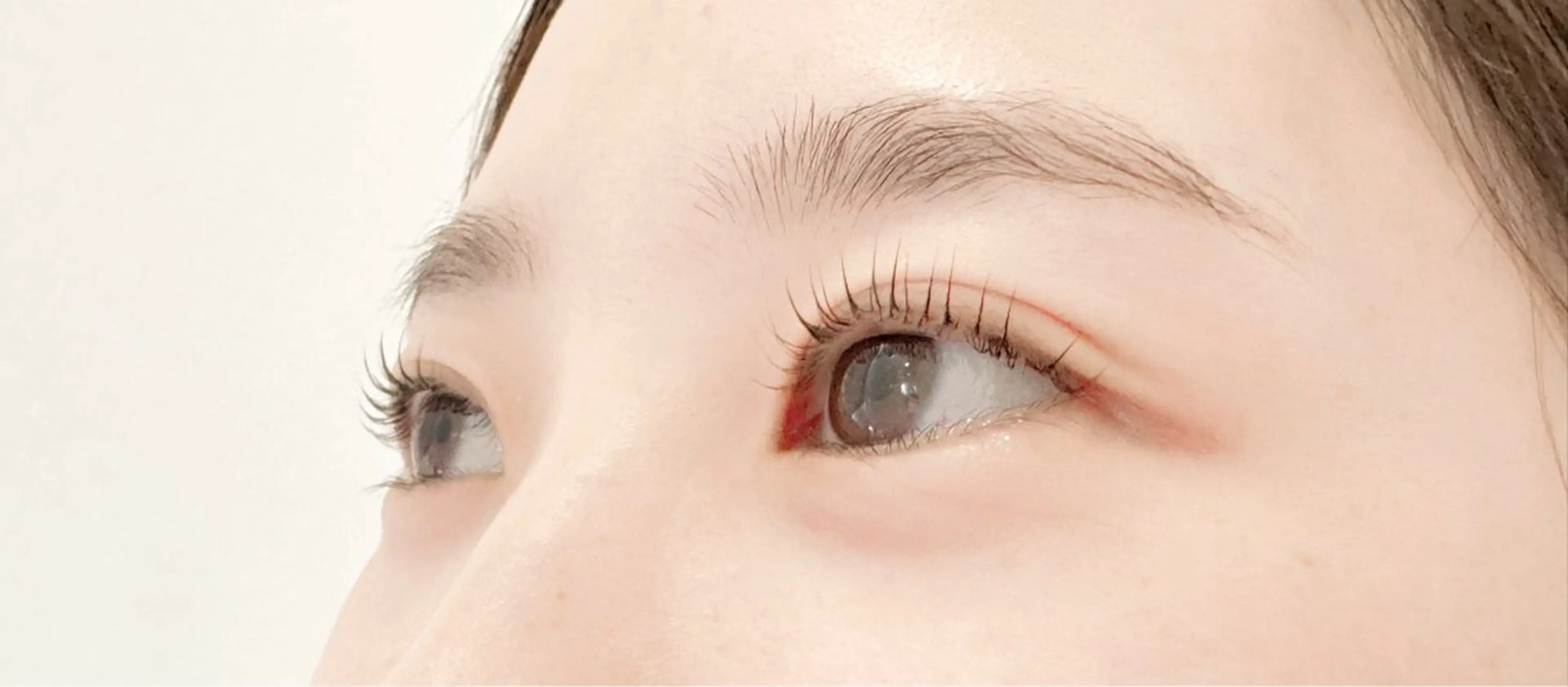 まつげパーマ/パリジェンヌ✨¥4600/¥4900コーティング&高濃度tr付の写真