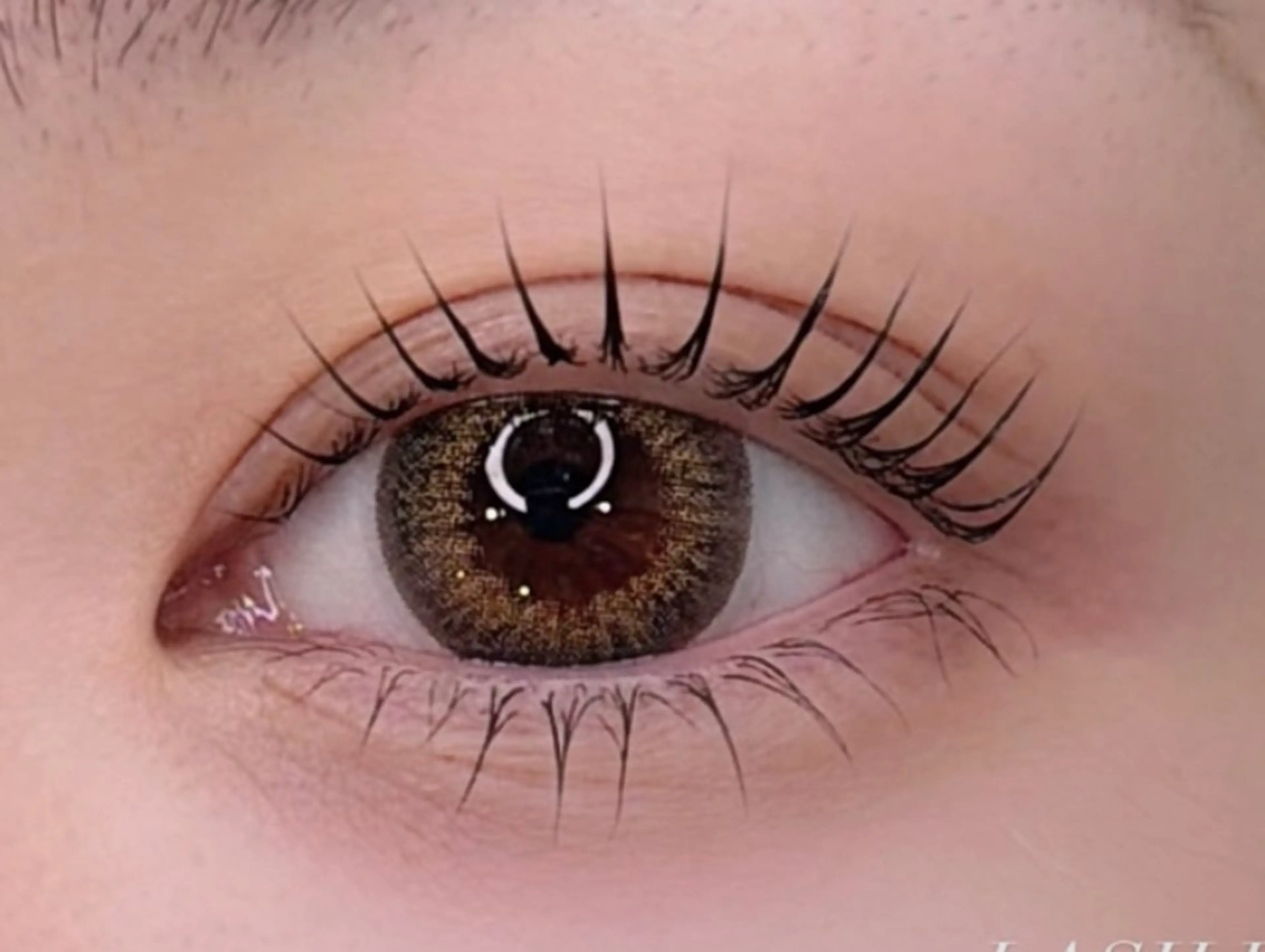 マツエク・マツパ マツパ MORIMAX nail&eyeのマツエク・マツパデザイン