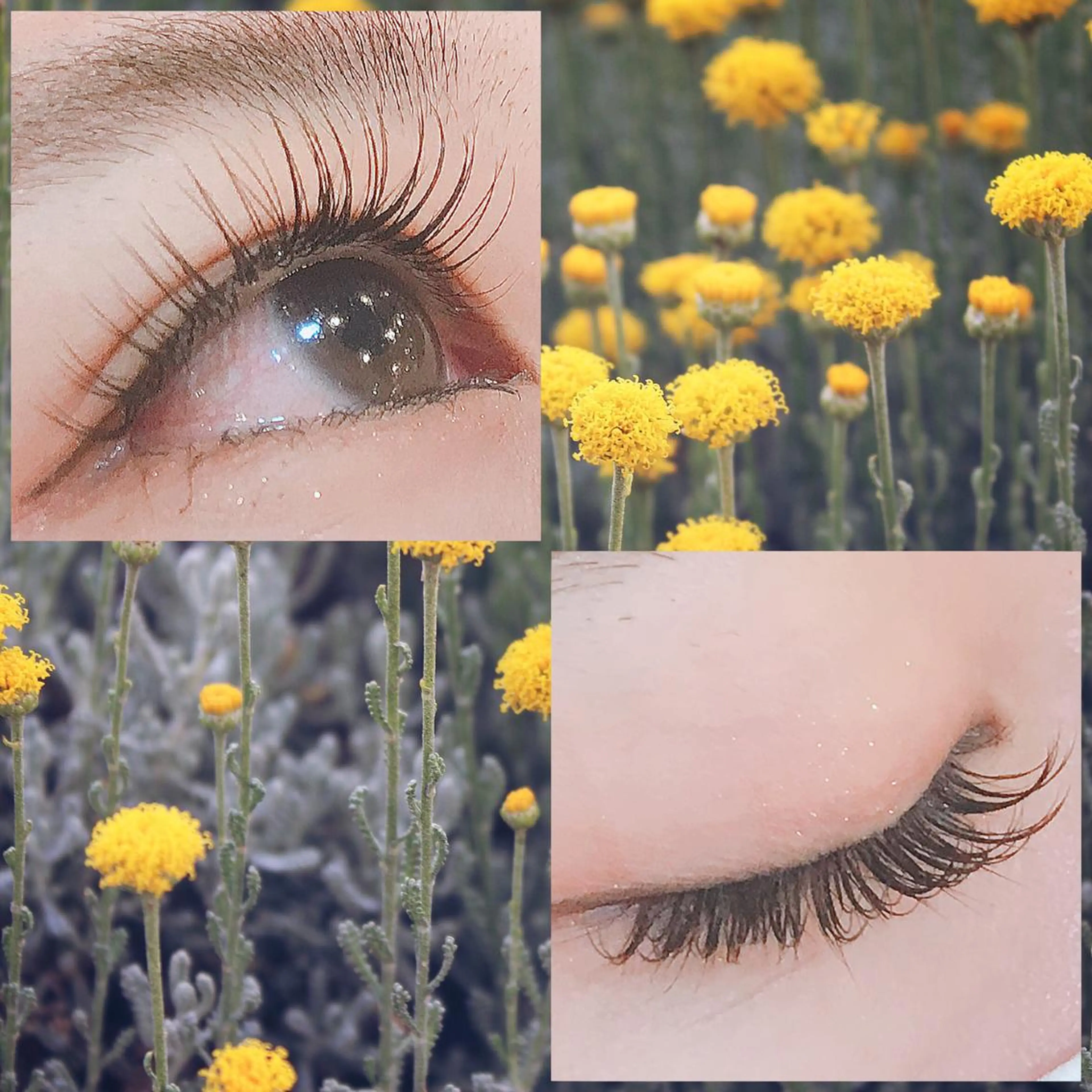 マツエク・マツパ 付け放題 カラーマツエク アップワードラッシュ Raviliss 武田のマツエク・マツパデザイン