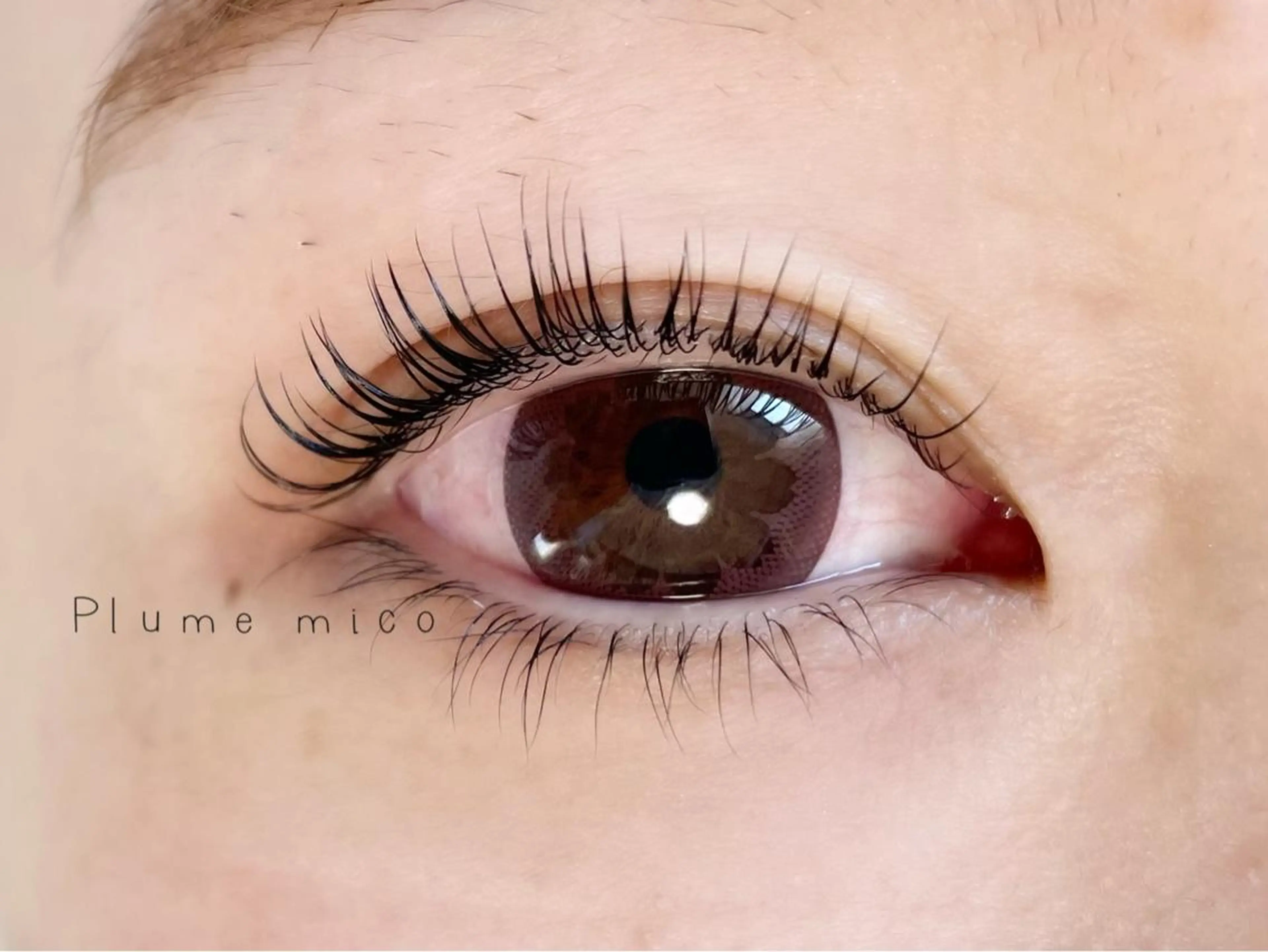 マツエク・マツパ マツパ Plume micoのマツエク・マツパデザイン