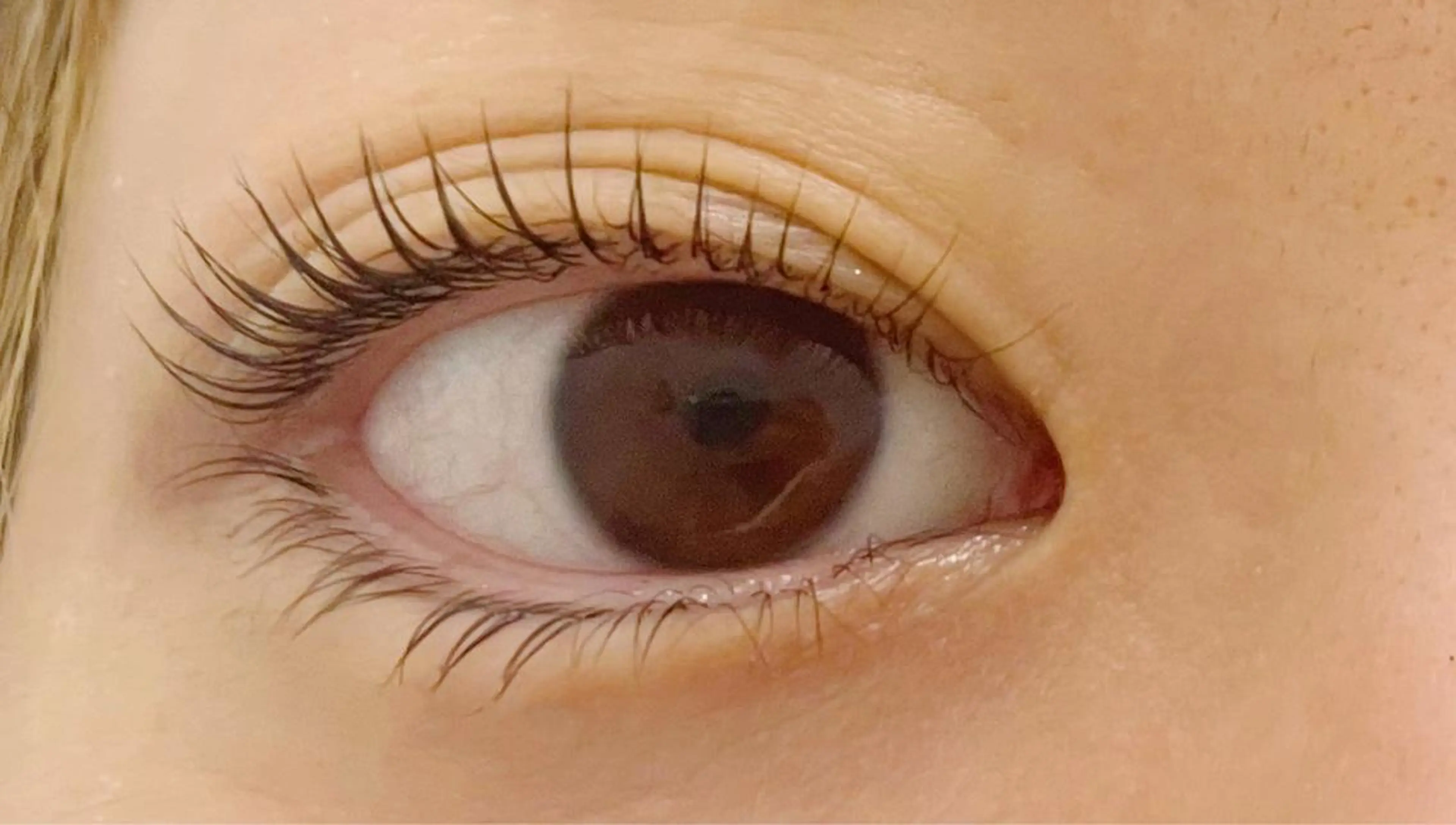 マツエク・マツパ Rich to🤍 furutaのマツエク・マツパデザイン