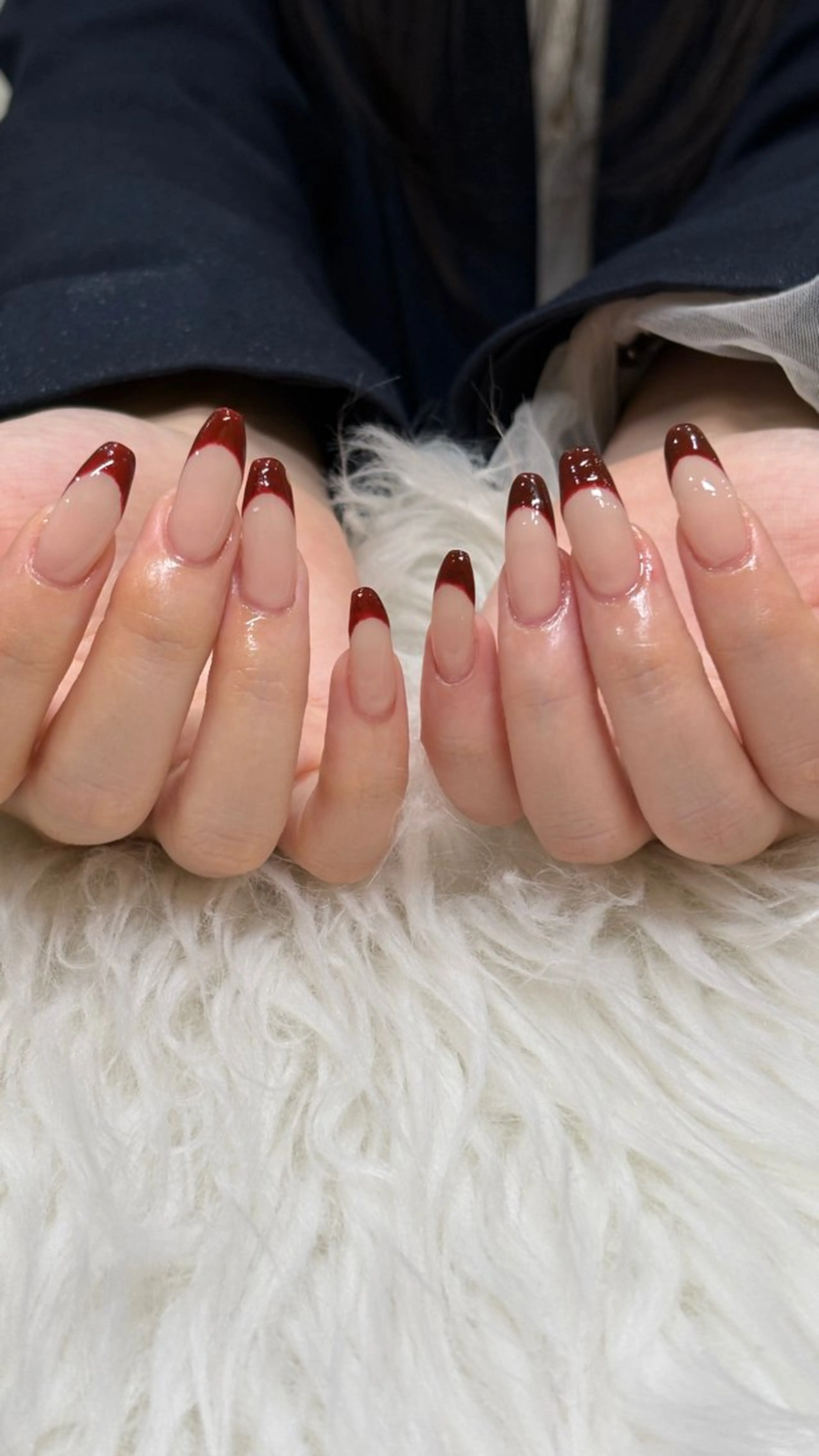 【オフなし】フレンチの写真