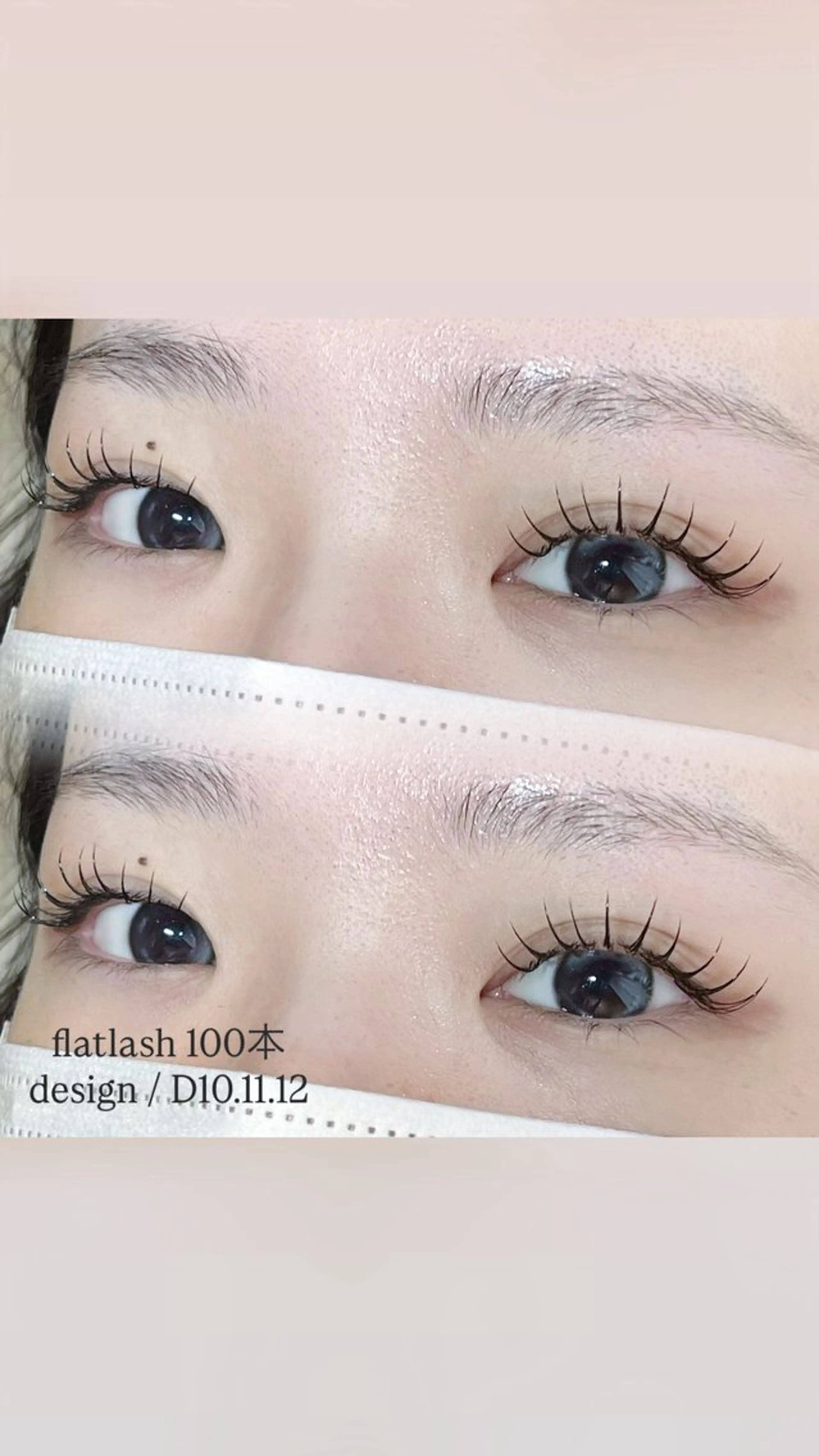 【学割U24】フラットラッシュ100本の写真